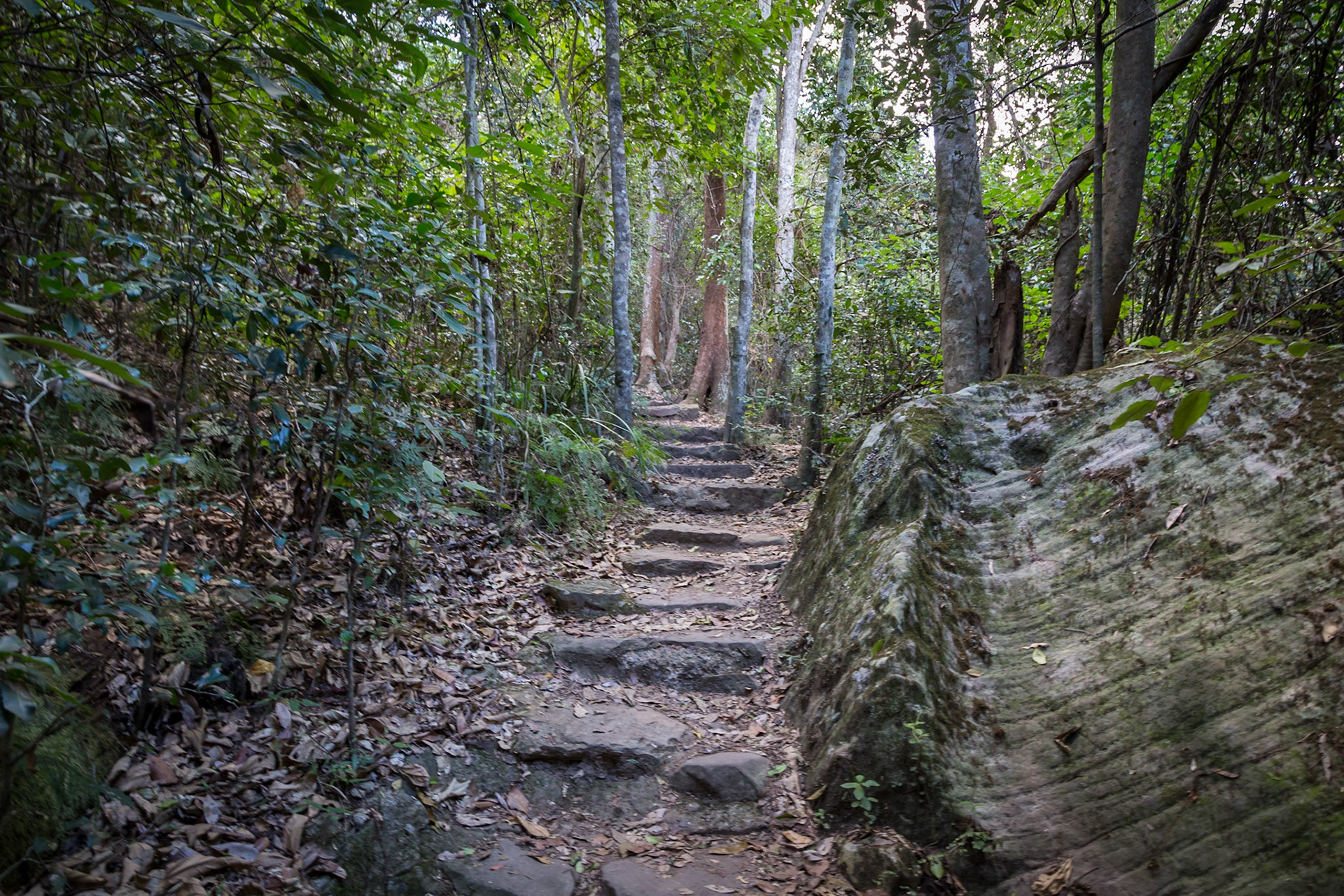 On a Cania Gorge Trail