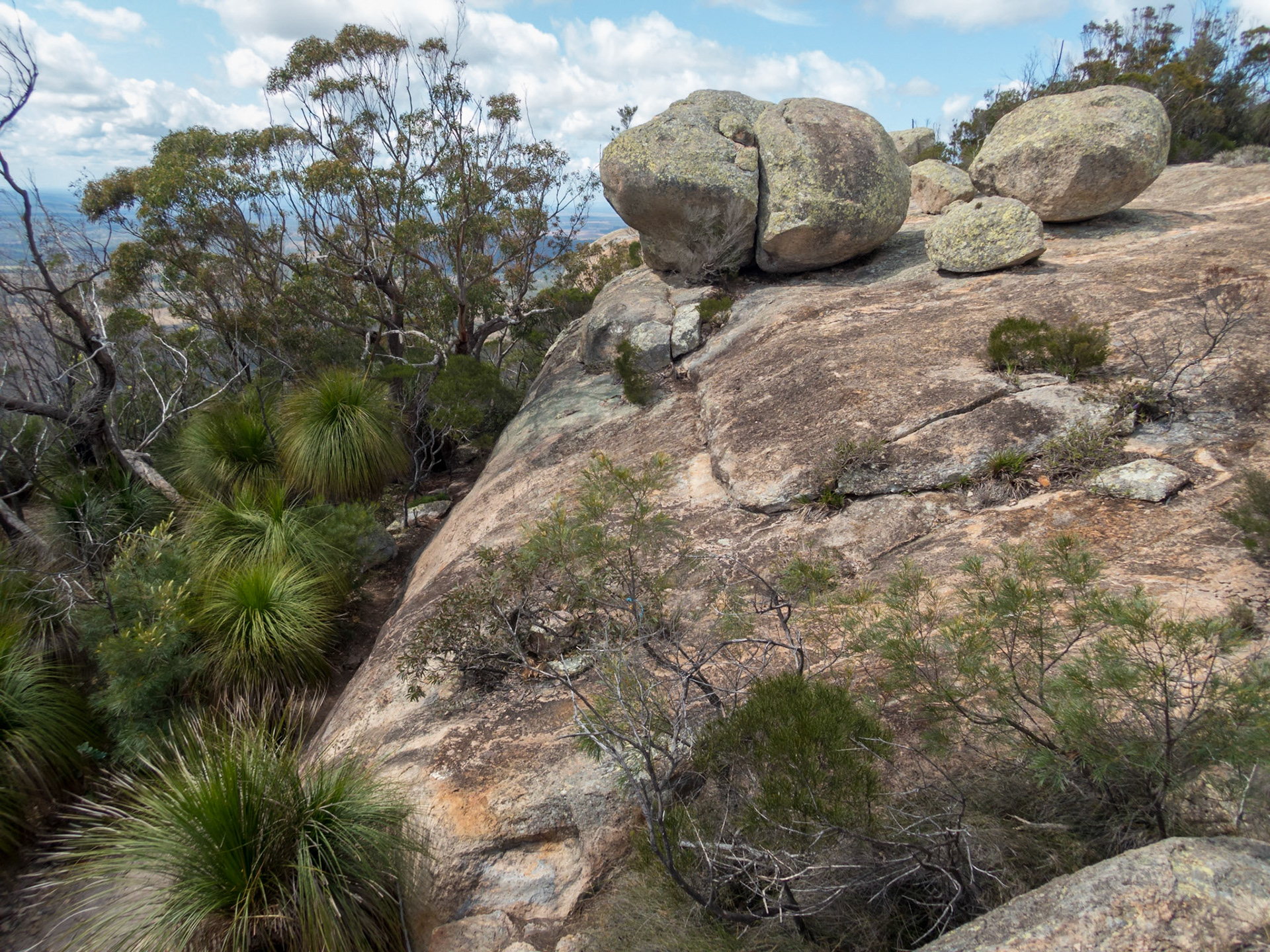 On the trail starting on the descent down from the summit of Mount Walsh