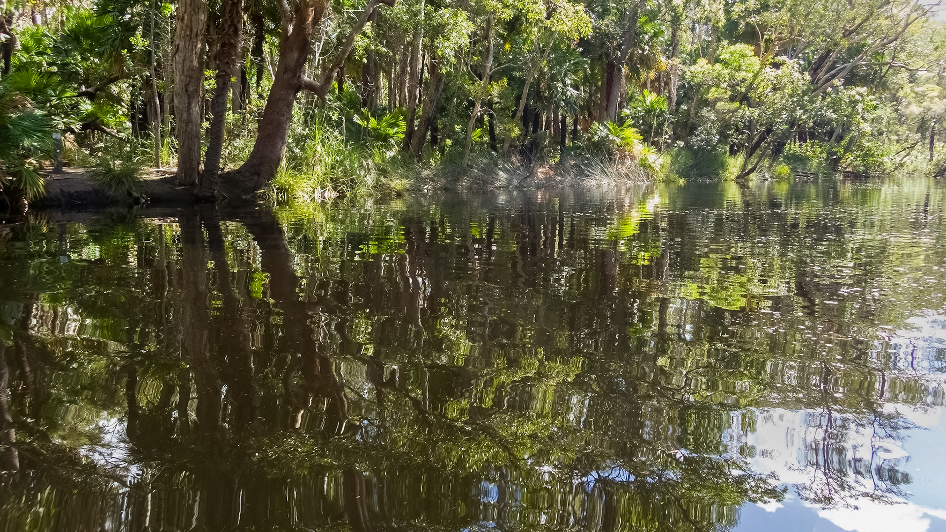 Passing through the Noosa Everglades