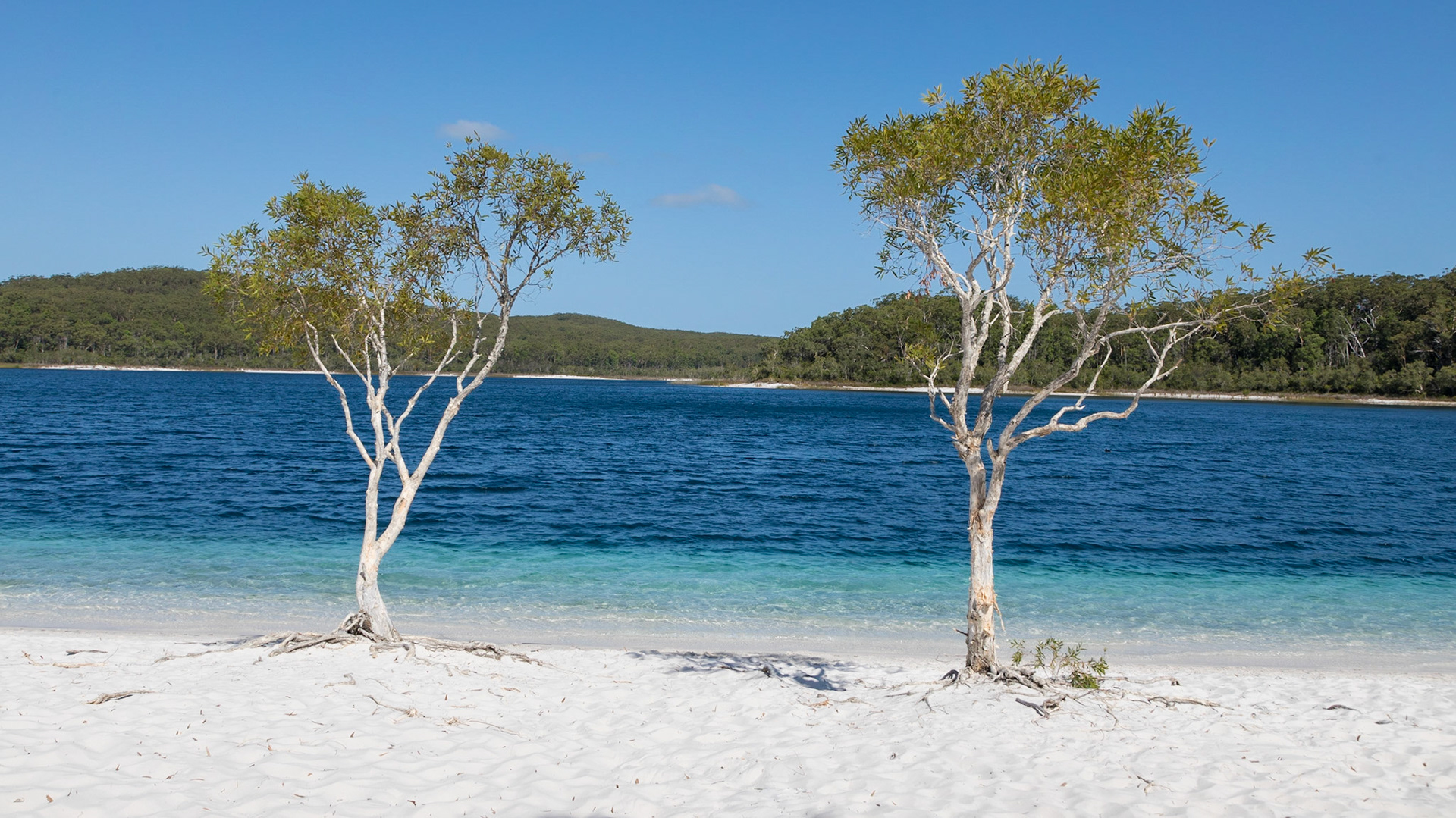 Lake McKenzie (Boorangoora)