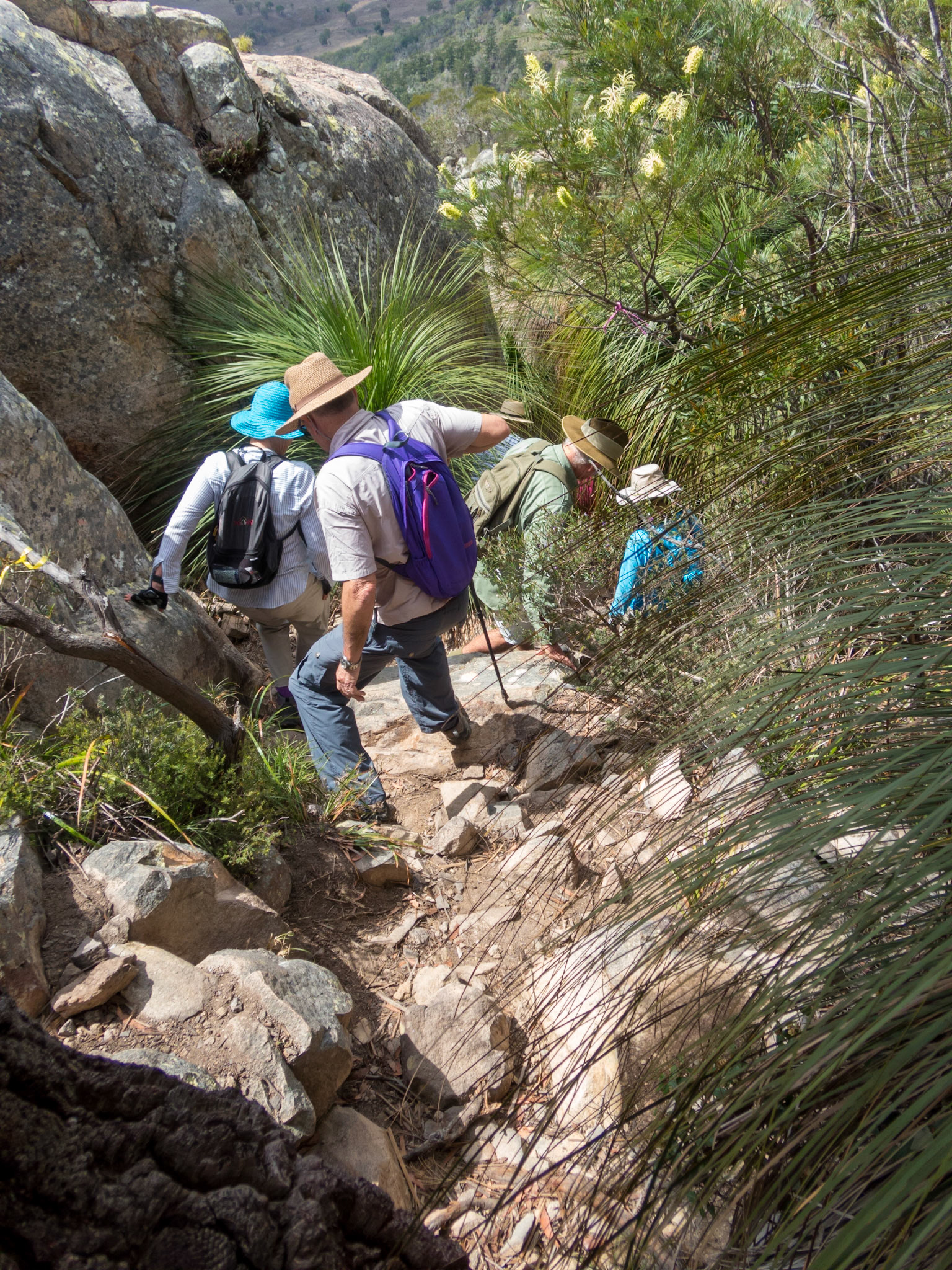 Making our descent from Mount Walsh