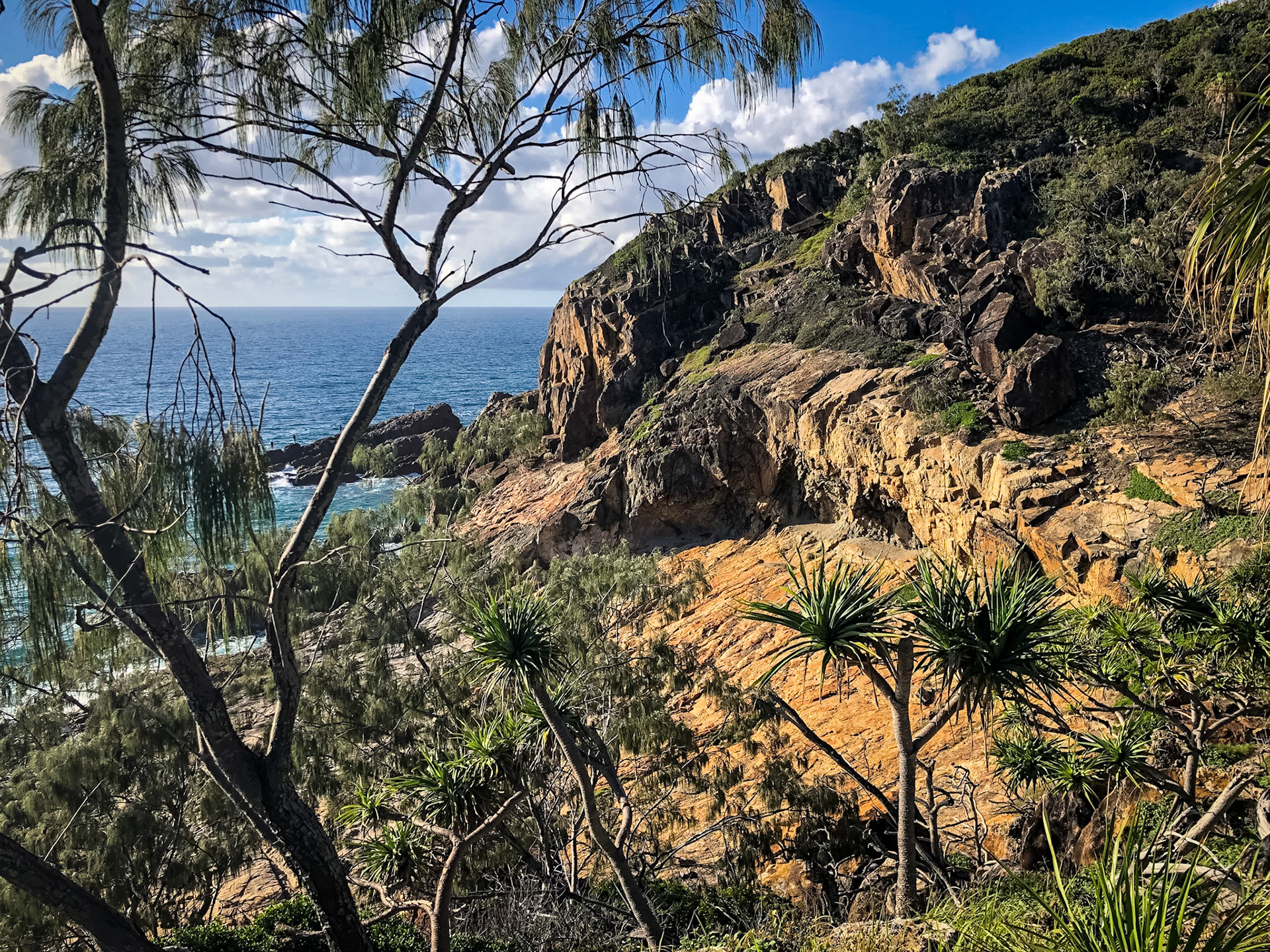 Joseph Banks Conservation Park