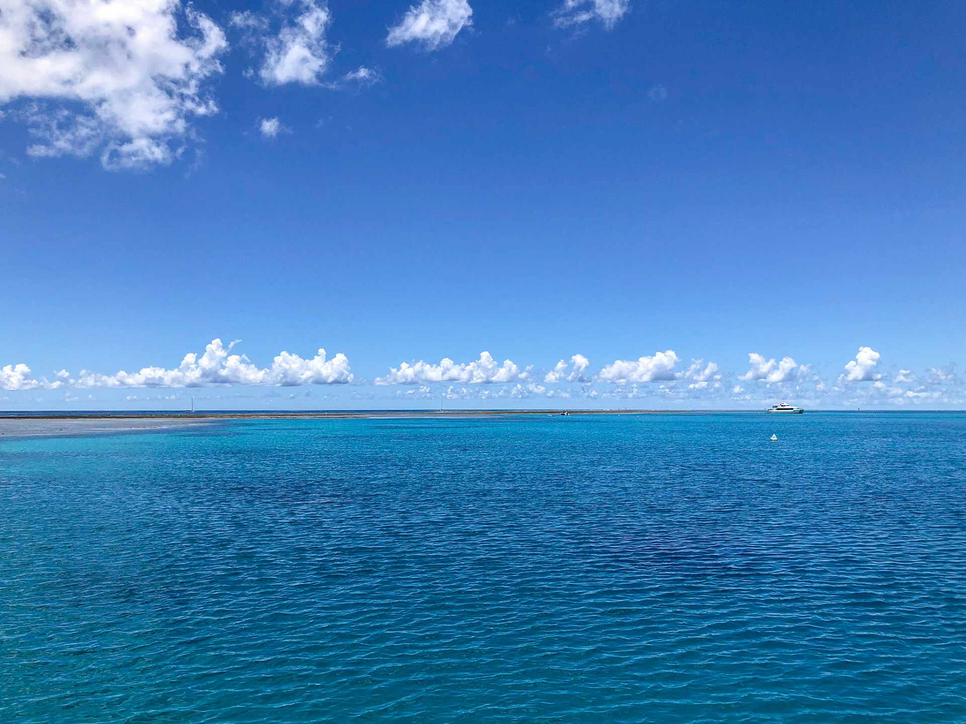 Some of the coral reef exposed at low tide, Lady Musgrave lagoon
