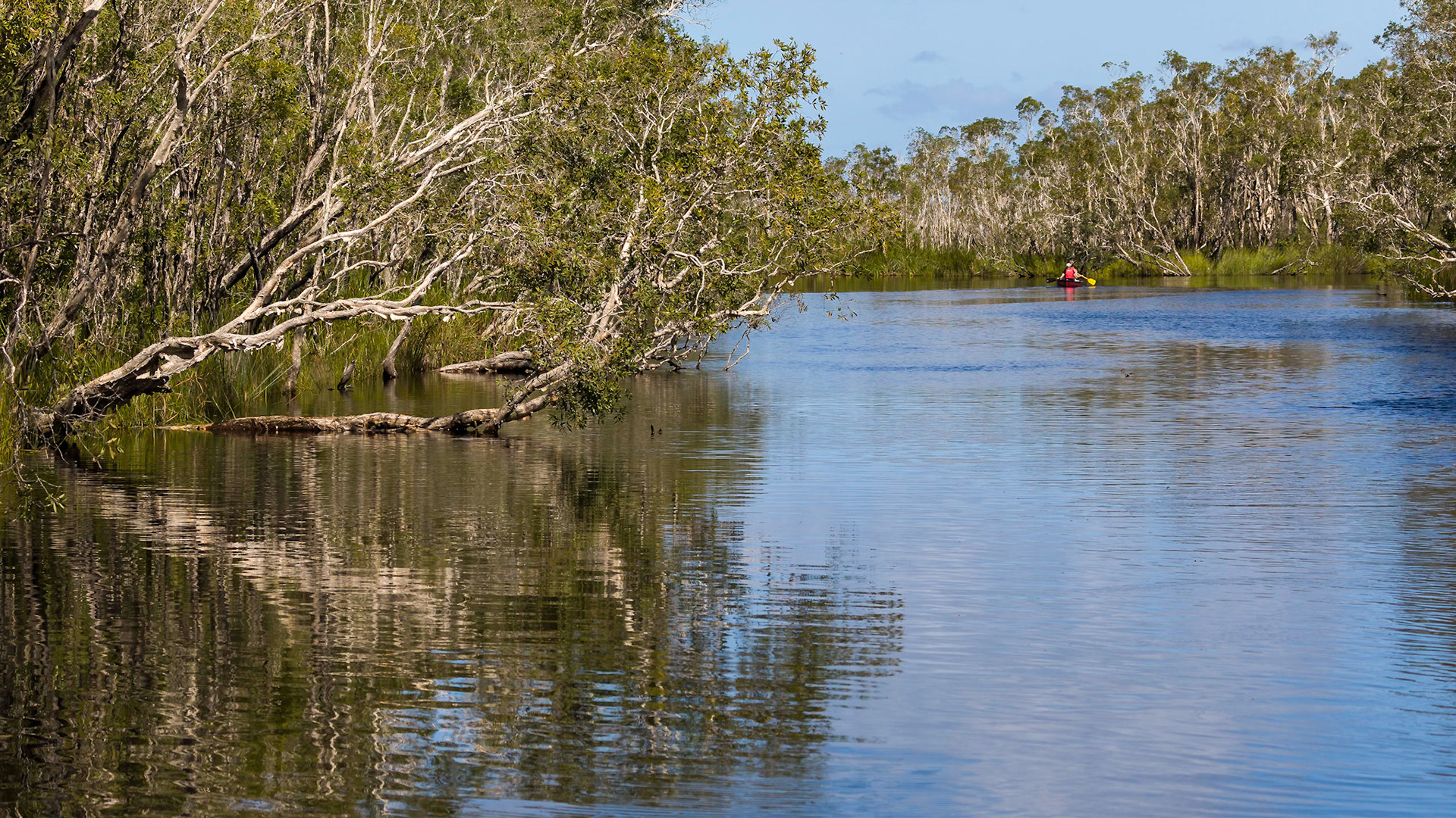Passing through the Noosa Everglades