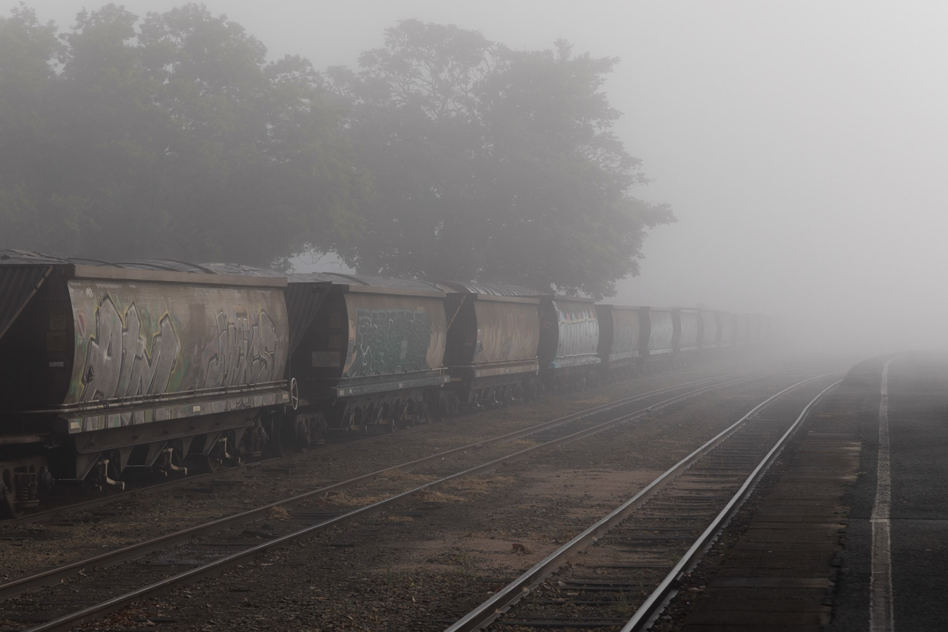 Rail wagons in the fog; marshalling yard at the Old Gympie Station