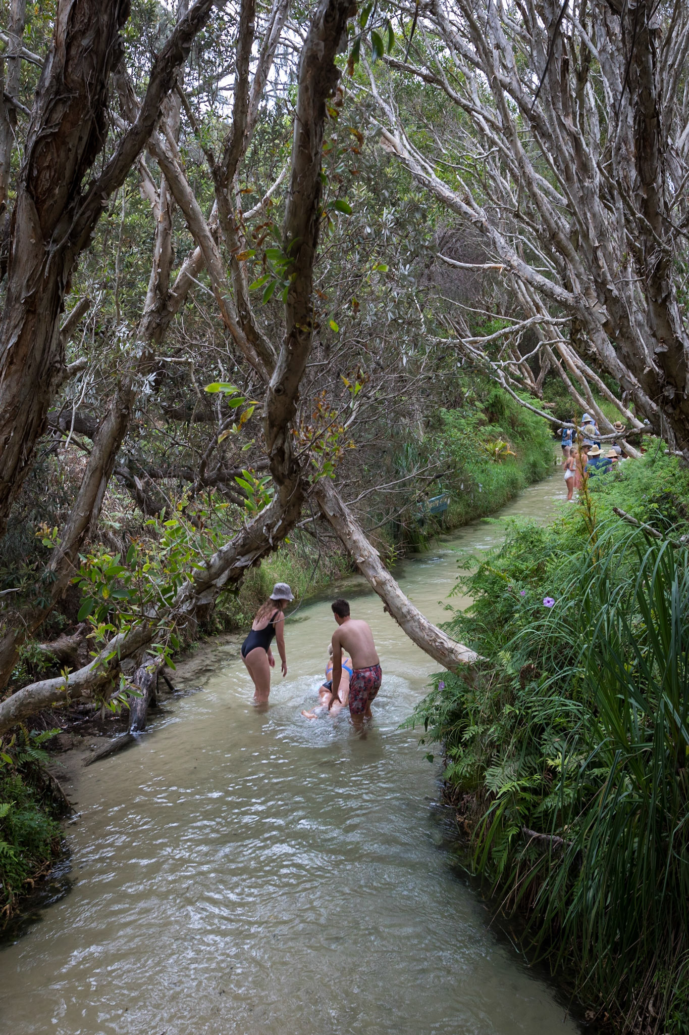 Holiday-makers walk or float down Eli Creek to the beach