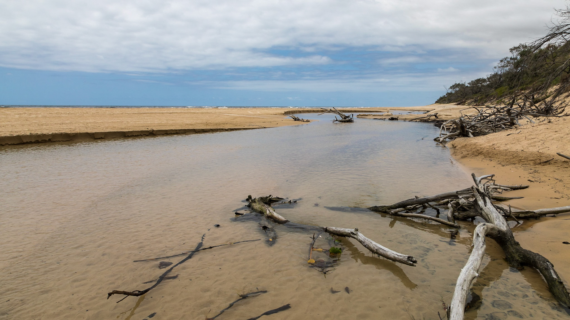 Eli Creek flowing out to the sea across the beach