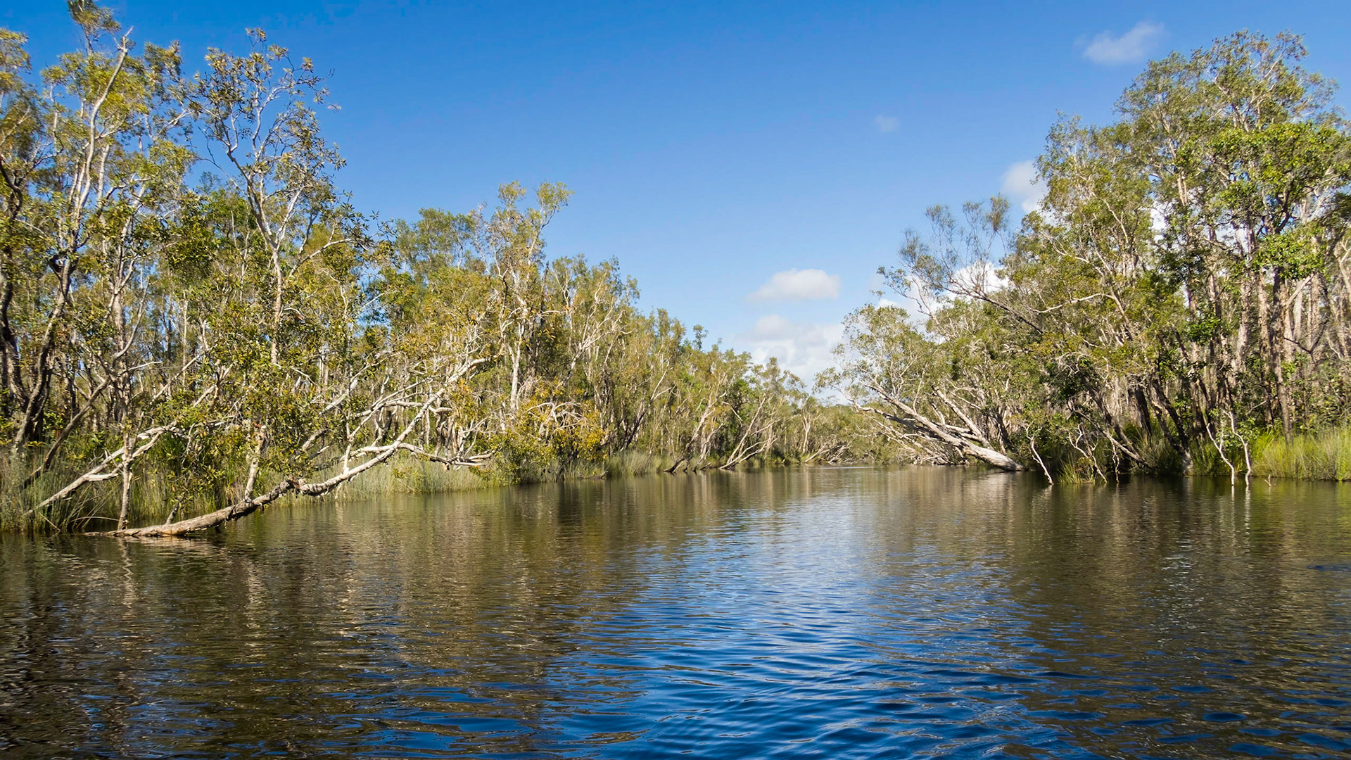 Passing through the Noosa Everglades