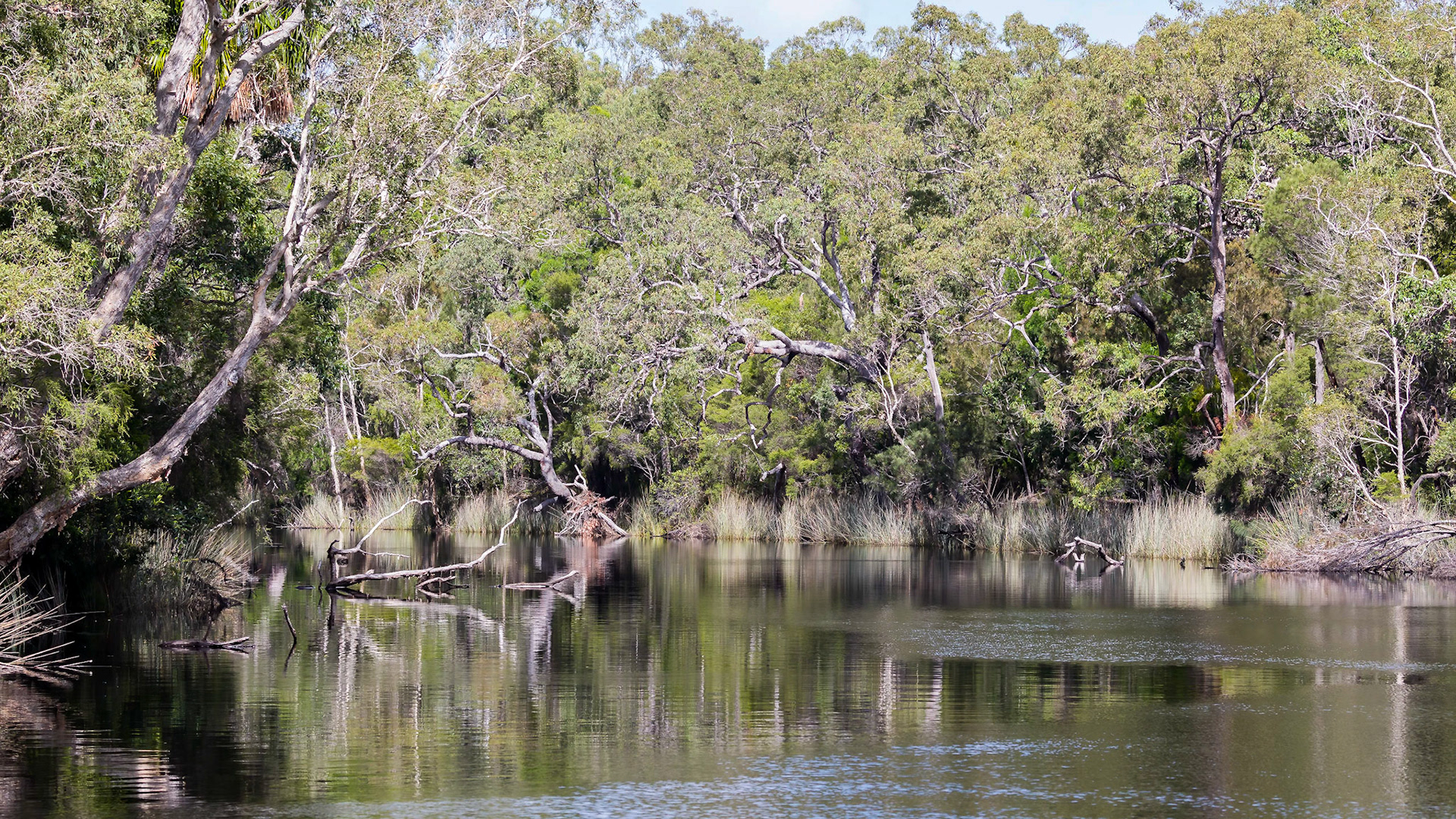 Passing through the Noosa Everglades