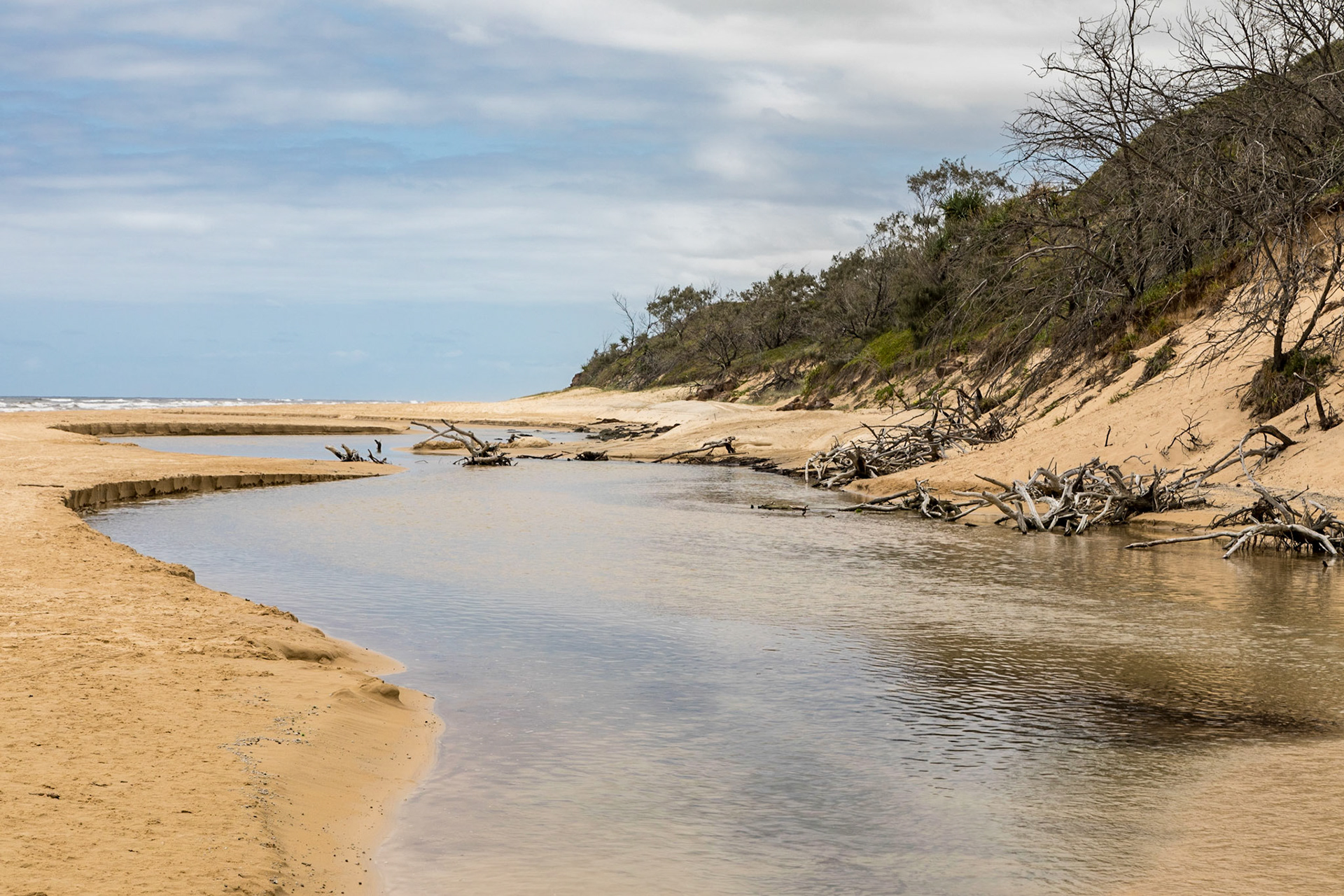 Eli Creek flowing out to the sea across the beach