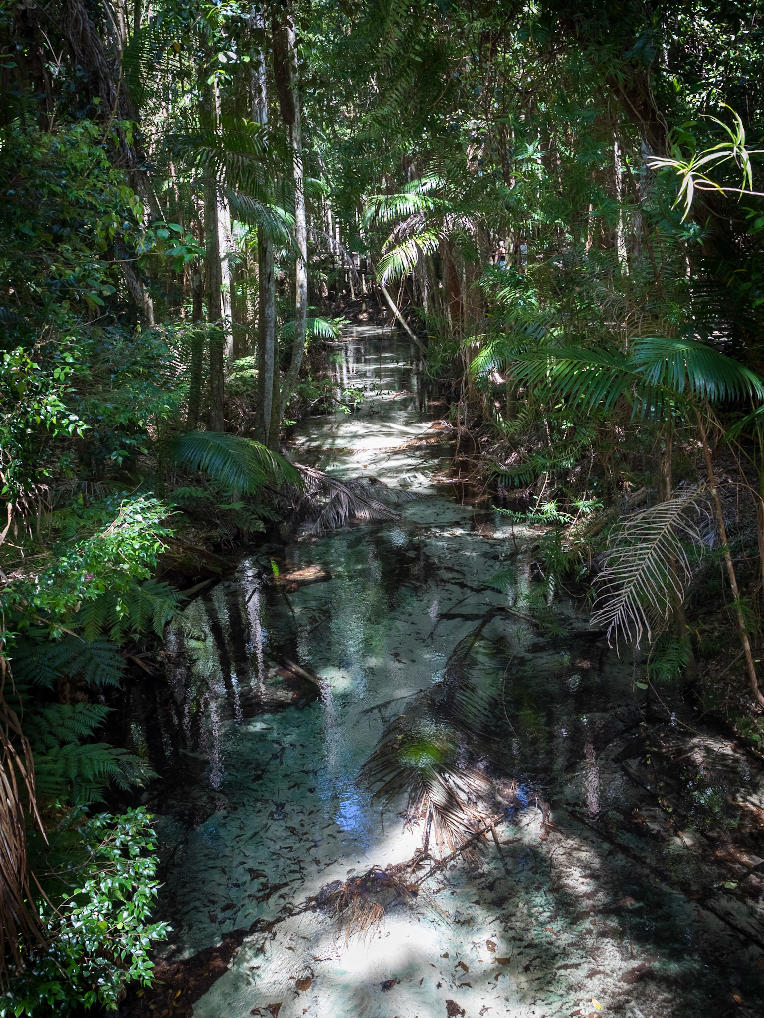 Wanggoolba Creek at Central Station