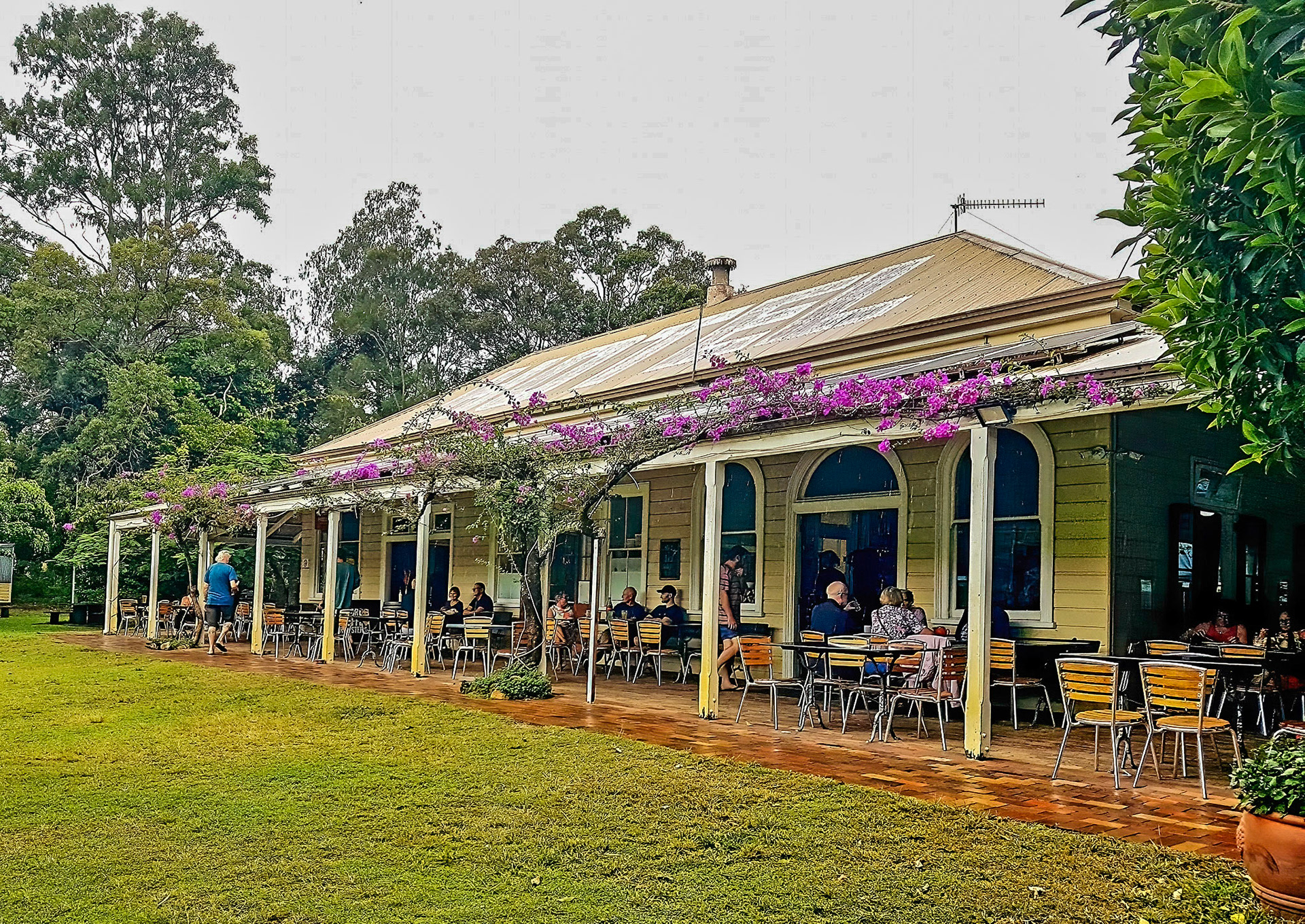 Lunch at Apollonian Hotel, Boreen Point (by Julie F)