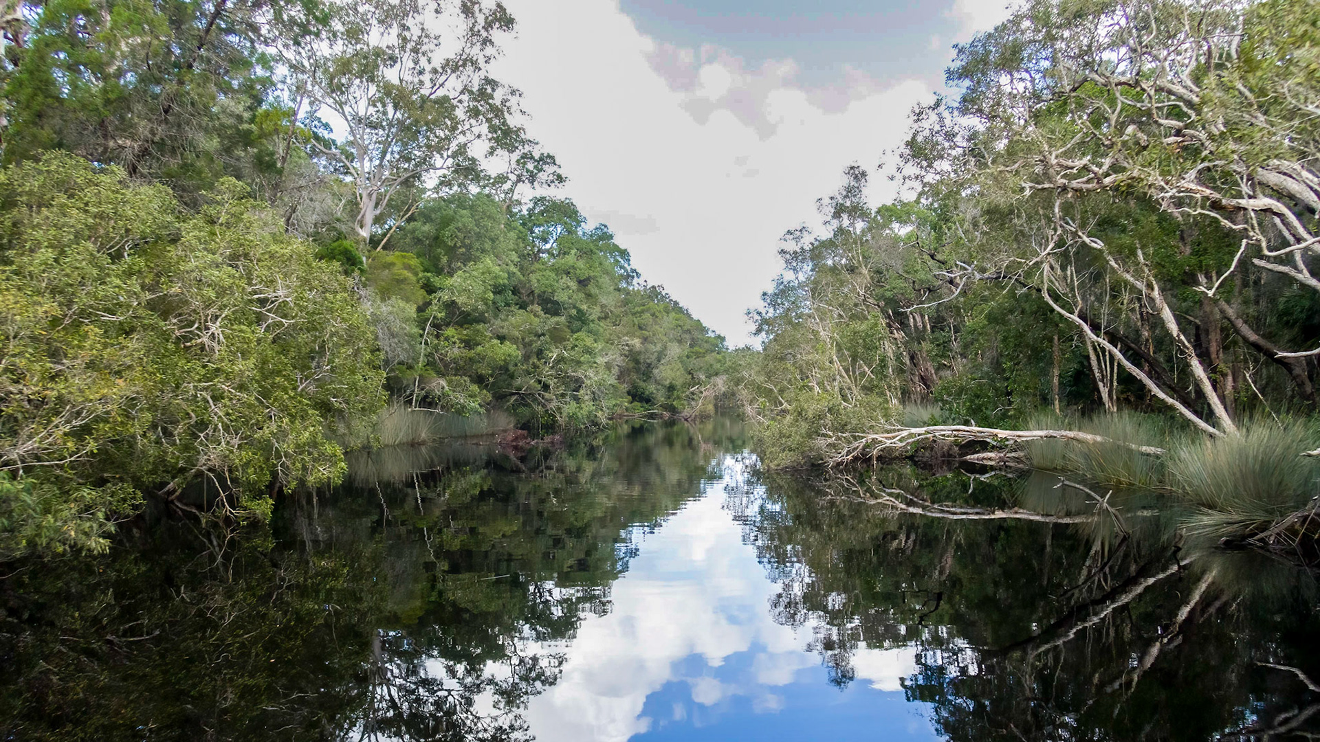 Passing through the Noosa Everglades