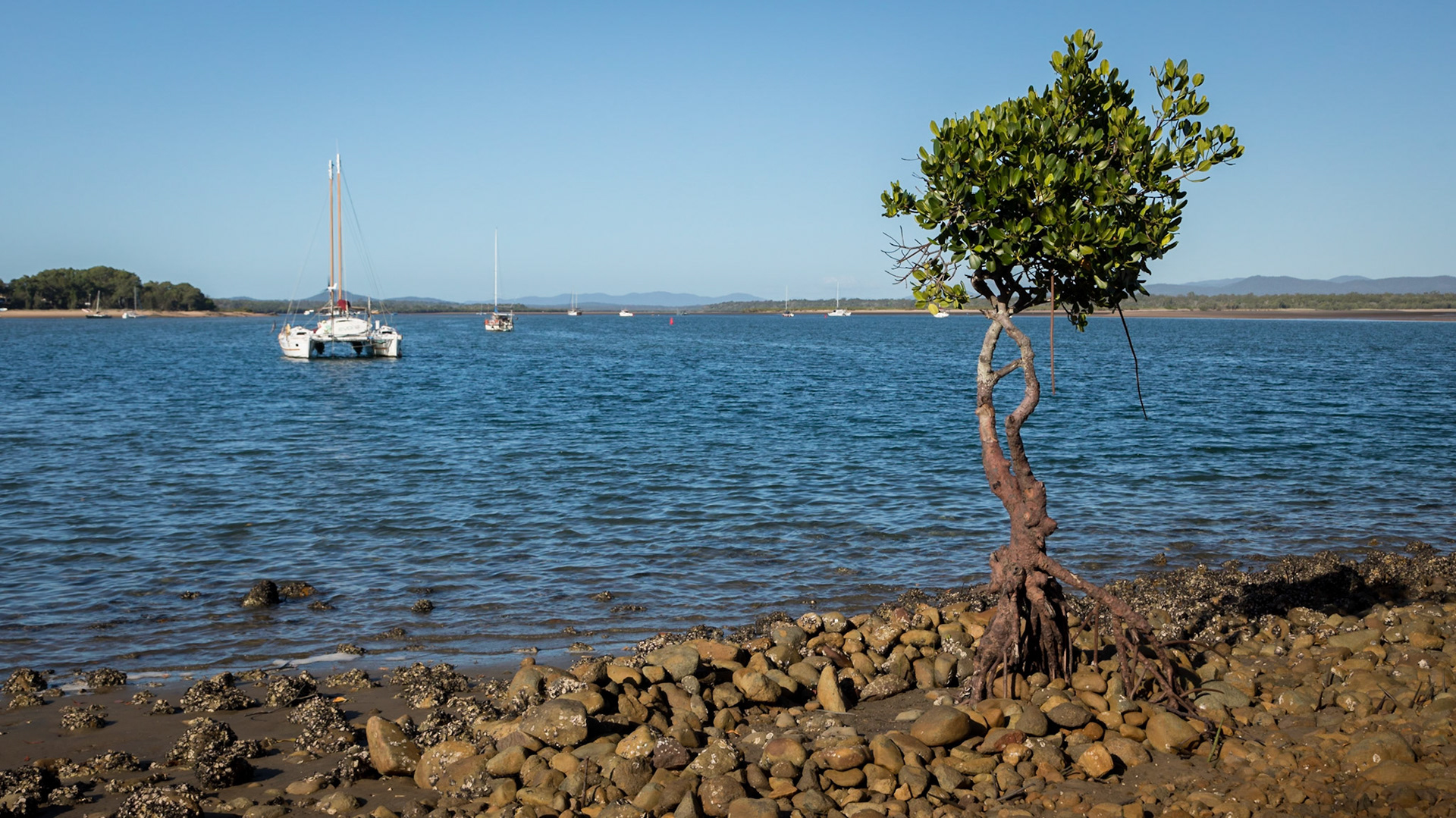 Bustard Bay, Seventeen Seventy