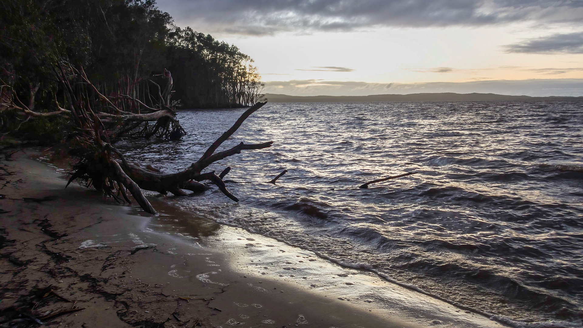 Early morning on Lake Cootharaba at Habitat Noosa campsite