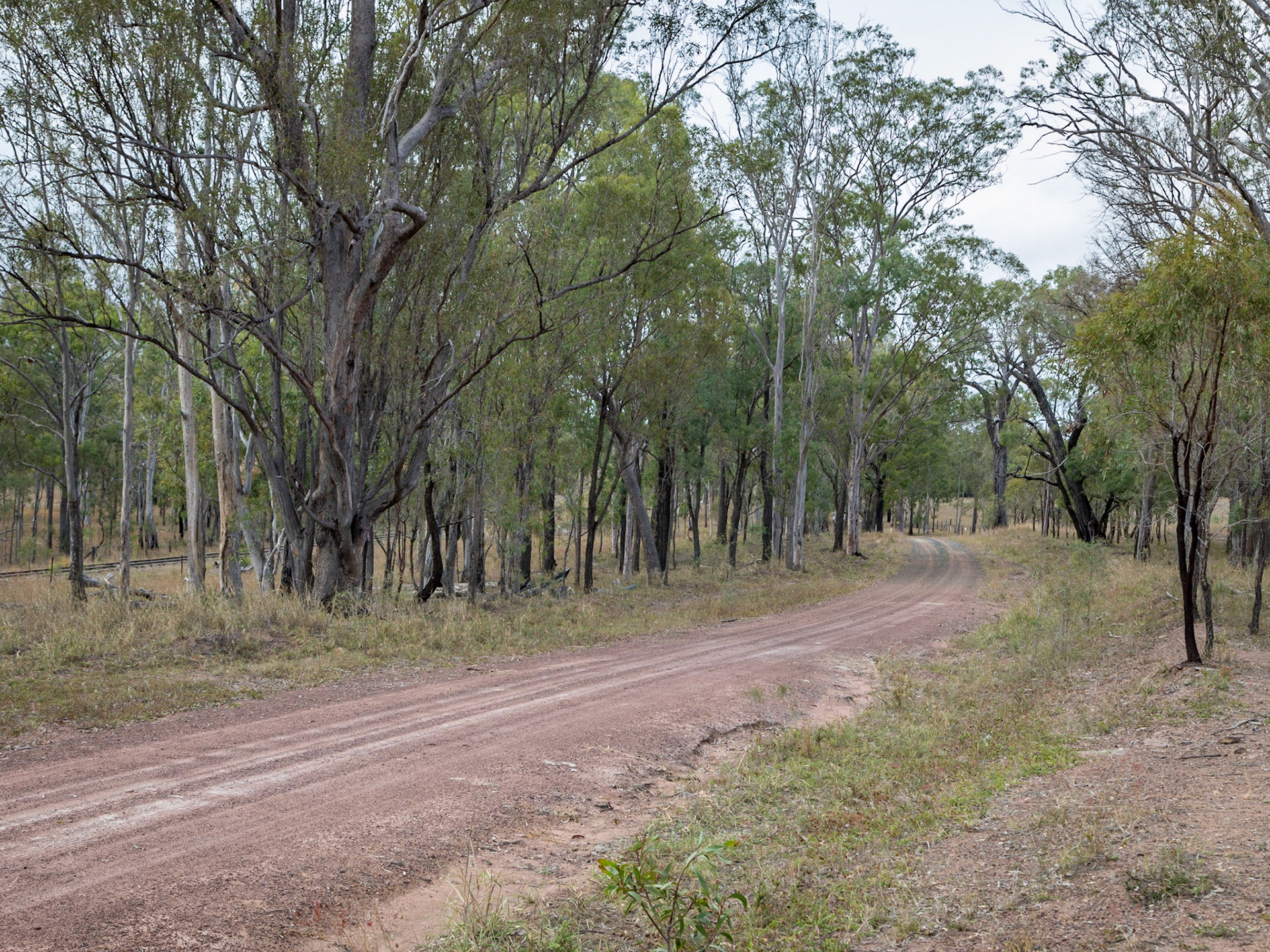 Along Highstone Road; a gravel track adjacent to the abandoned railway tracks.
