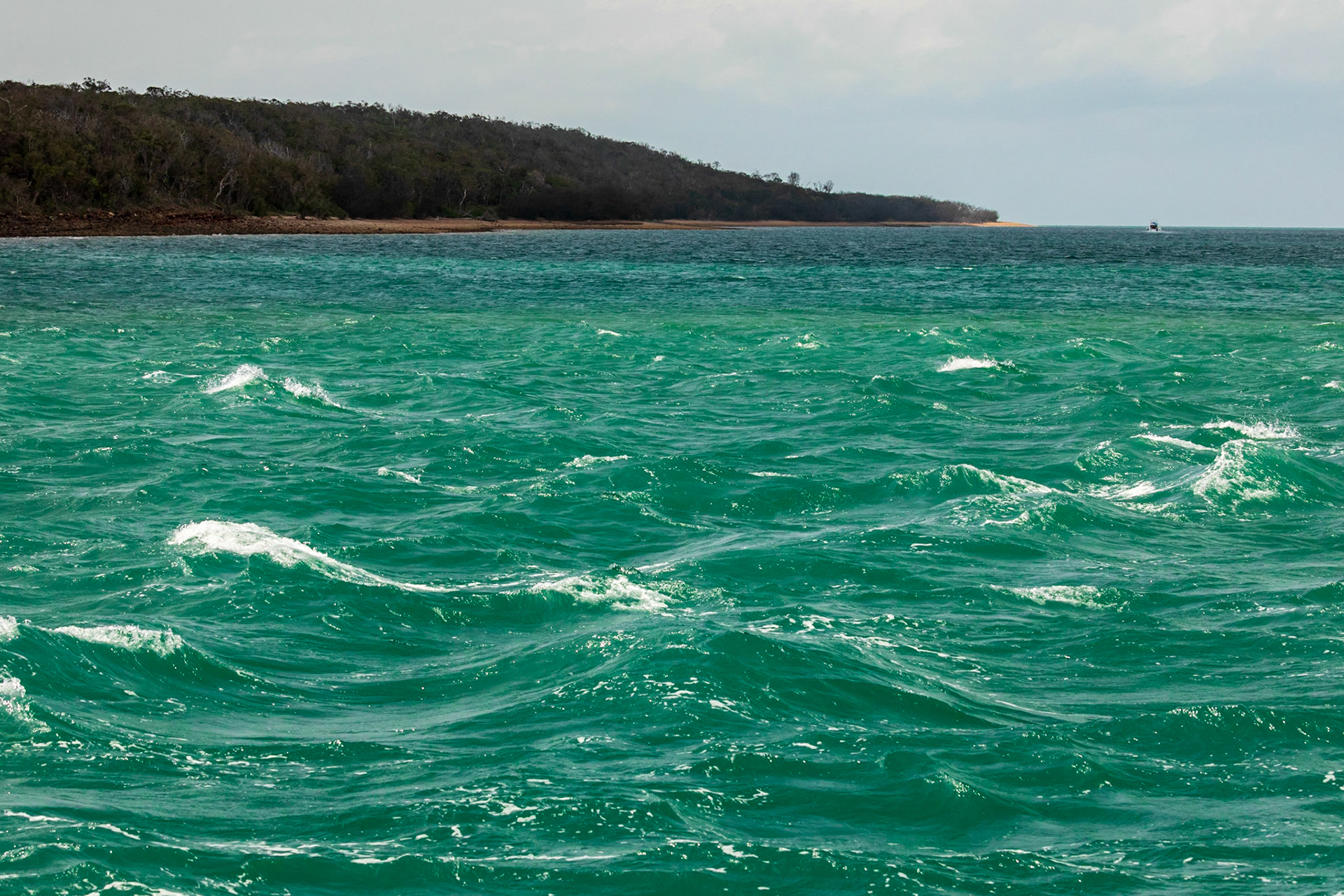 Woody Island (Tooliewah)