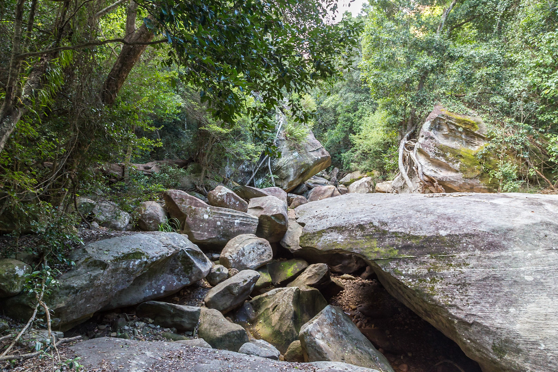 Boulders in Three Moon Creek