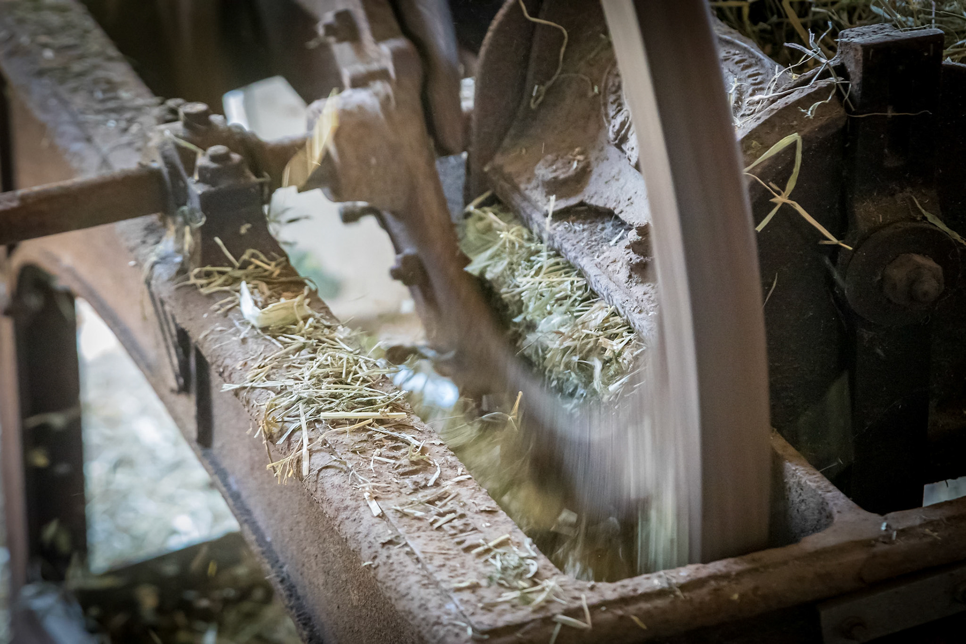 Chaff cutter in operation