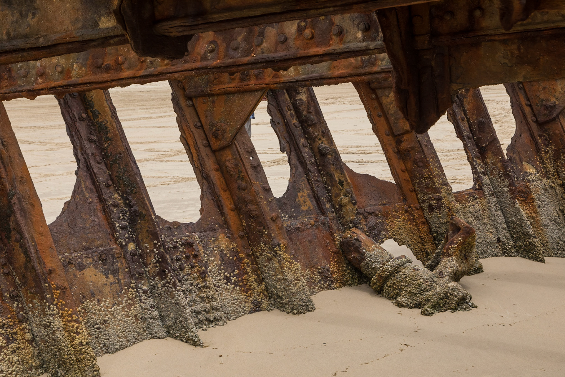 Remnants from the S.S. Maheno, wrecked on the beach in 1935.