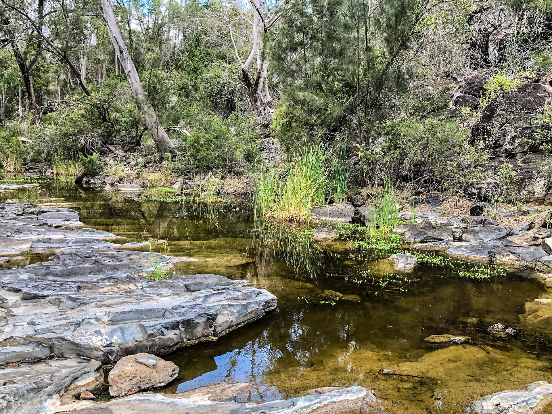 Remnant waters of Deep Creek, below upstream of the Chowey reailway bridge