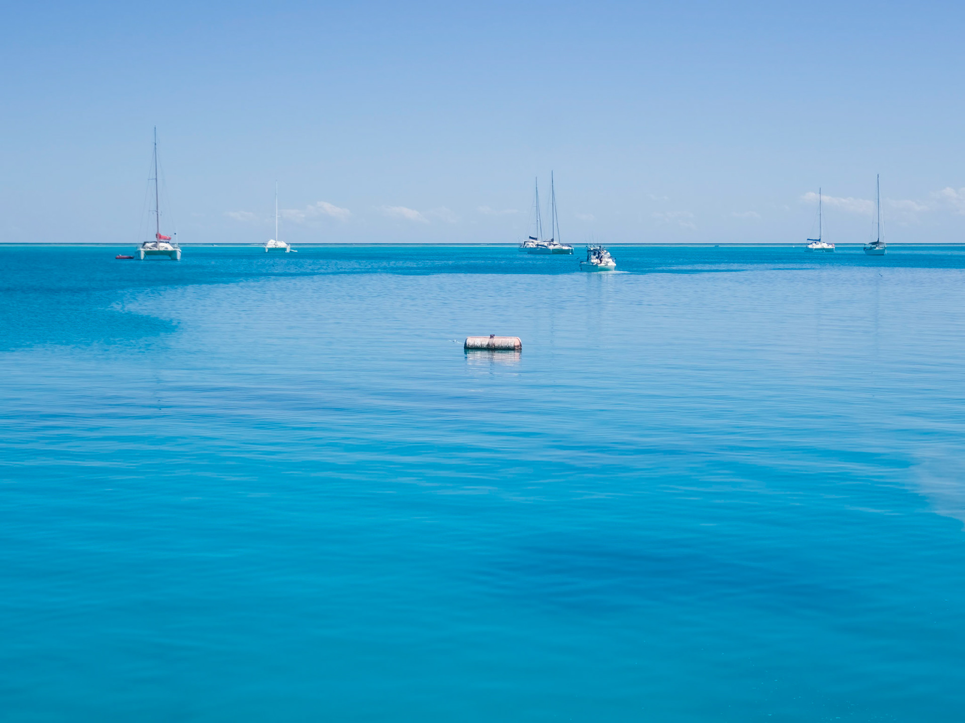 In the Lady Musgrave Island Lagoon