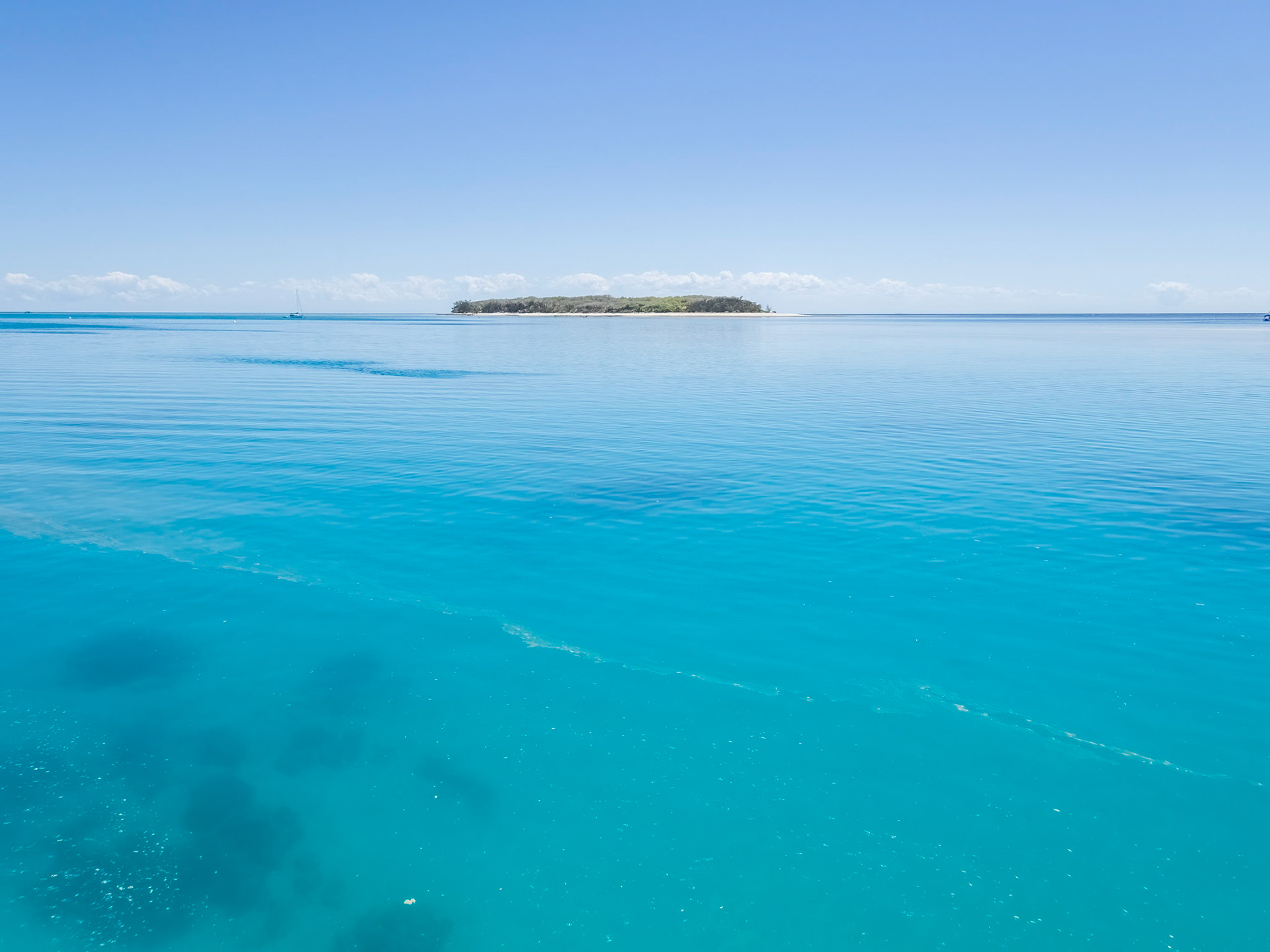 Lady Musgrave Island