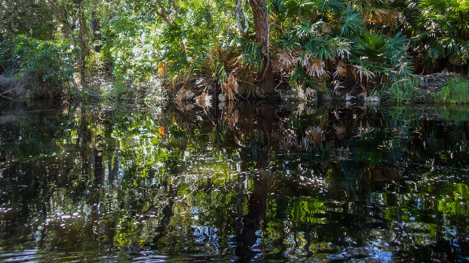 Passing through the Noosa Everglades