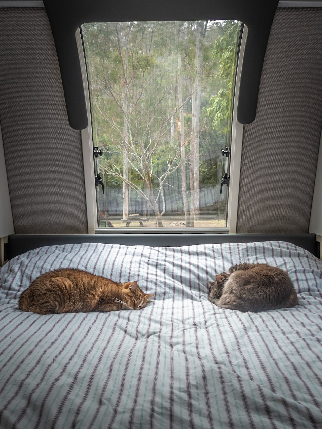Happy Campers; Violet &amp; Jayde. Cania Gorge Caravan Park