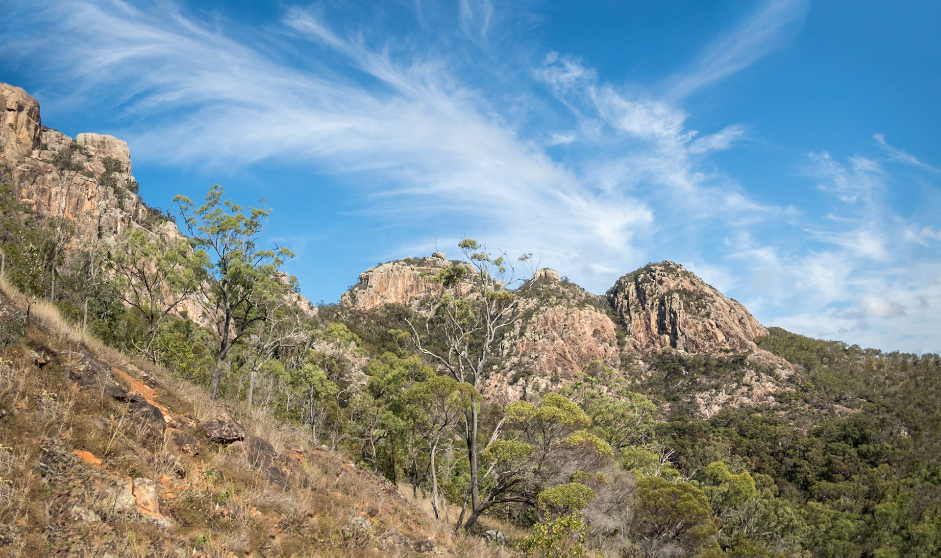 A view from the trail leading up to the summit of Mount Walsh