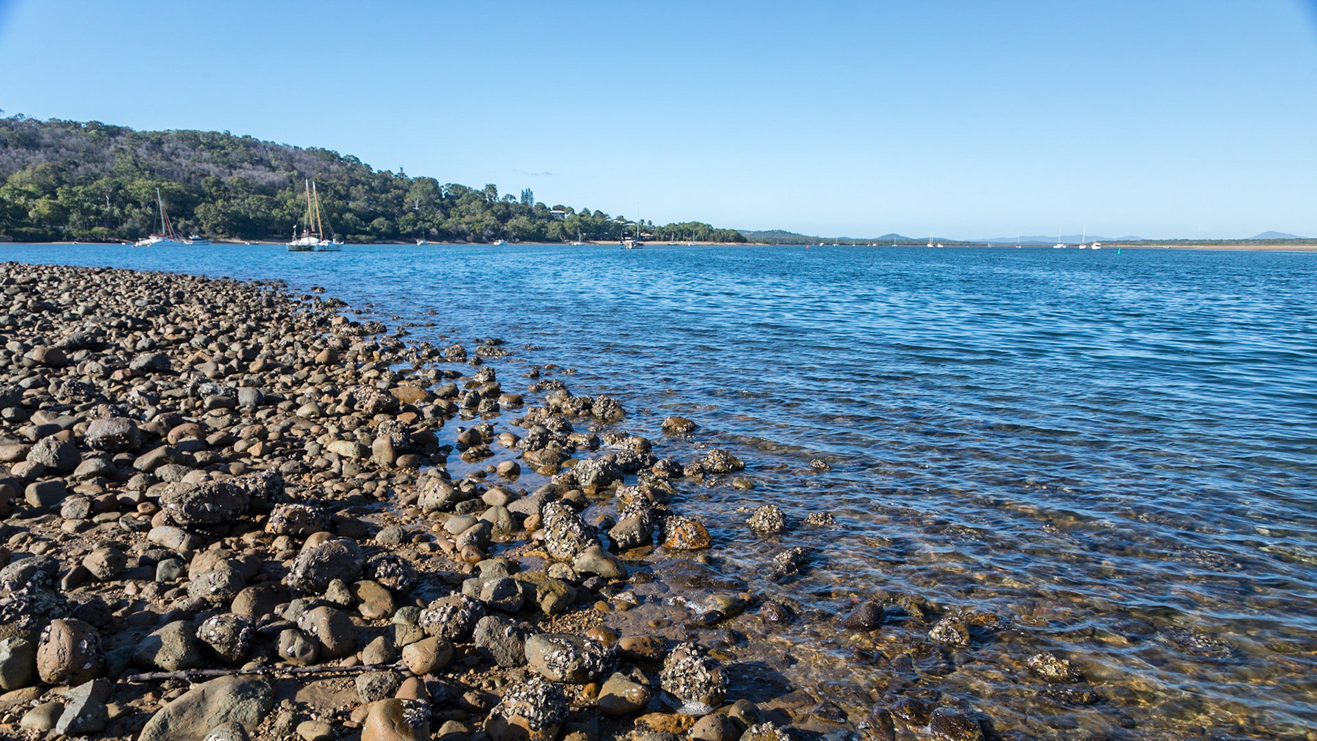 Bustard Bay, Seventeen Seventy