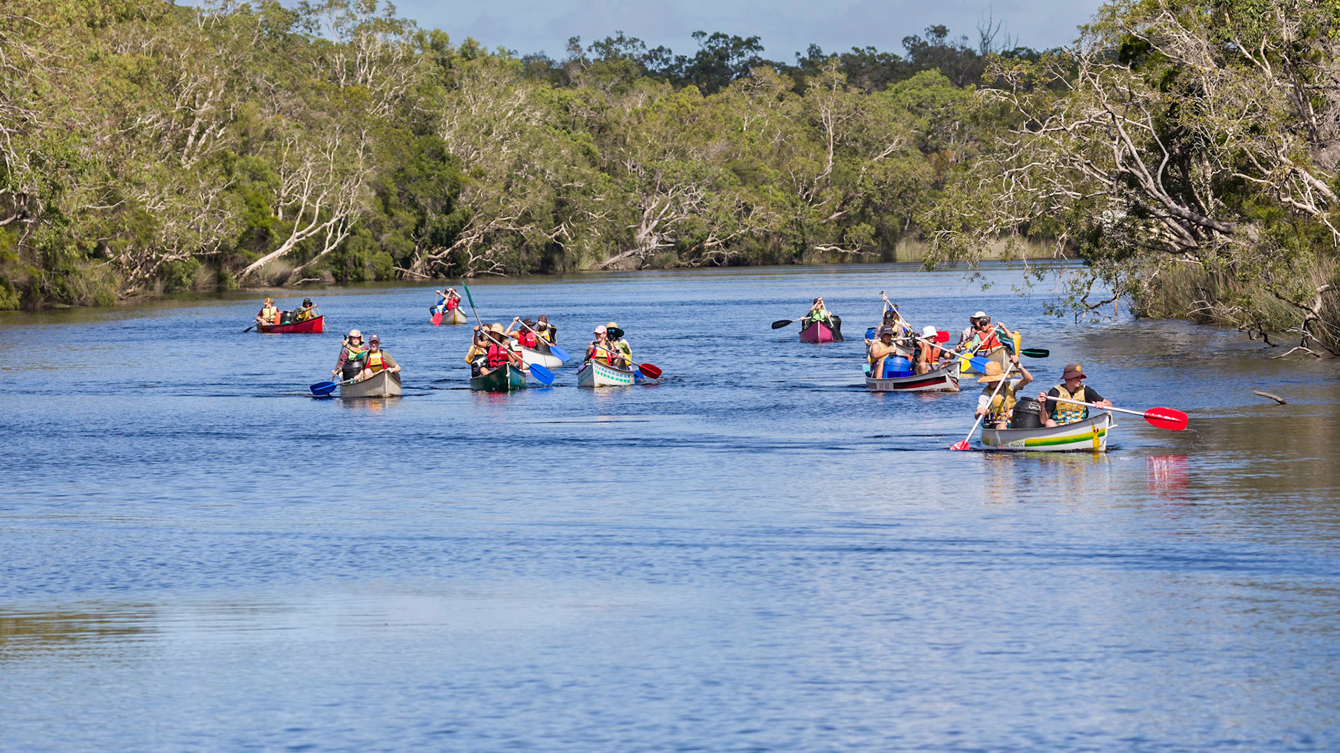 Adventurers canoeing through the Noosa Everglades