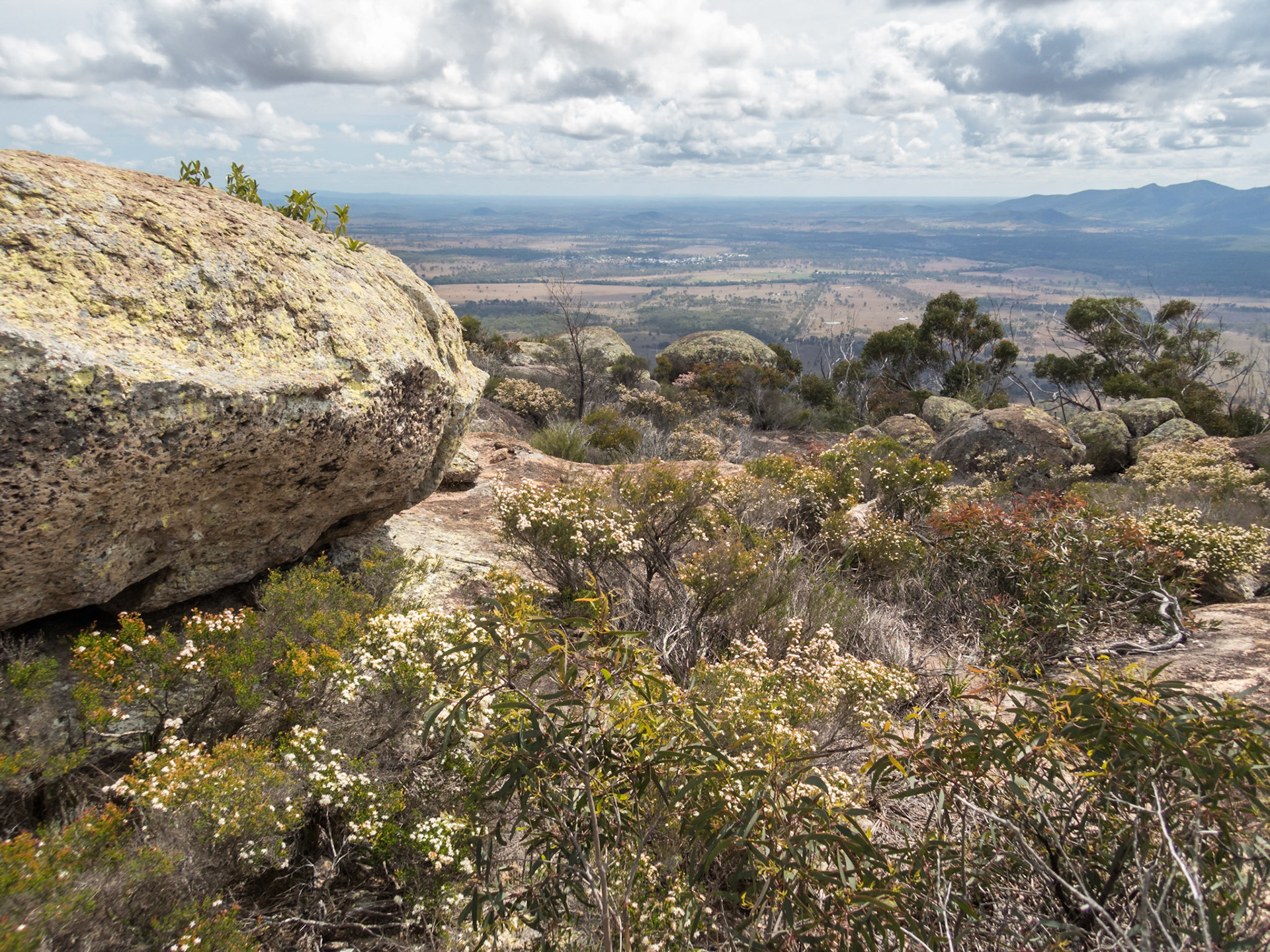 A view from the summit of Mount Walsh