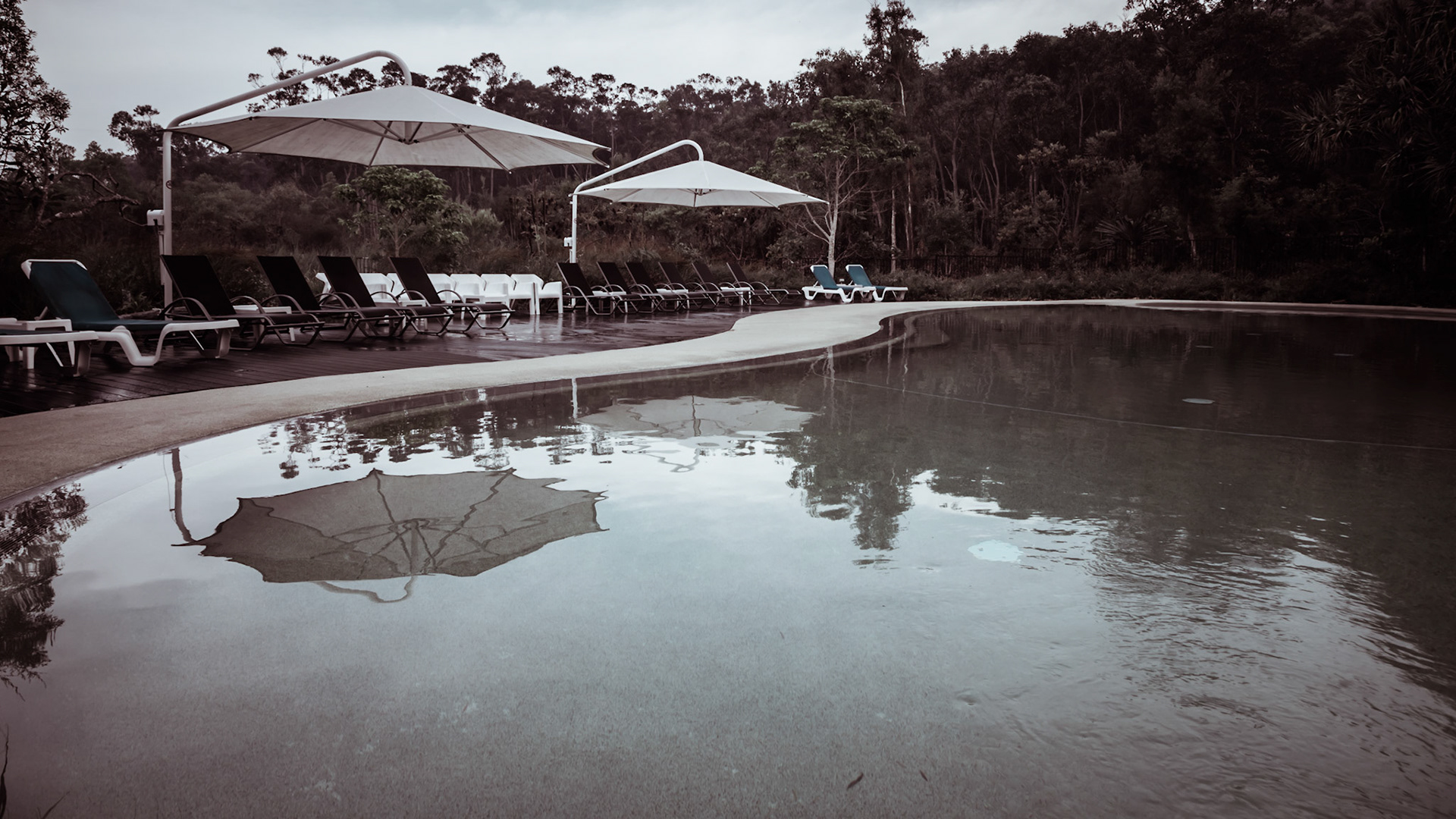 Around the resort's swimming pools.