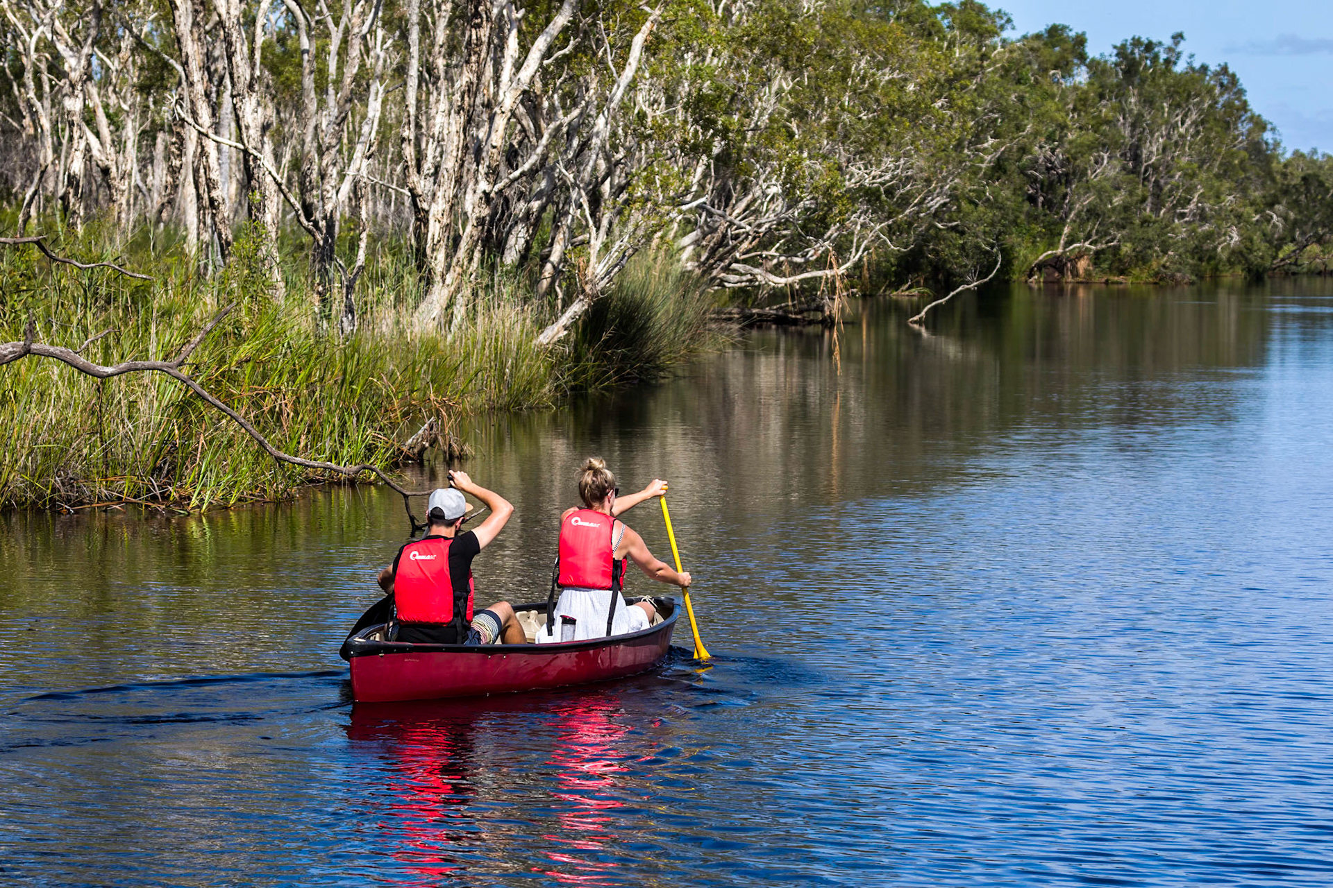 Canoeists paddling through the everglades
