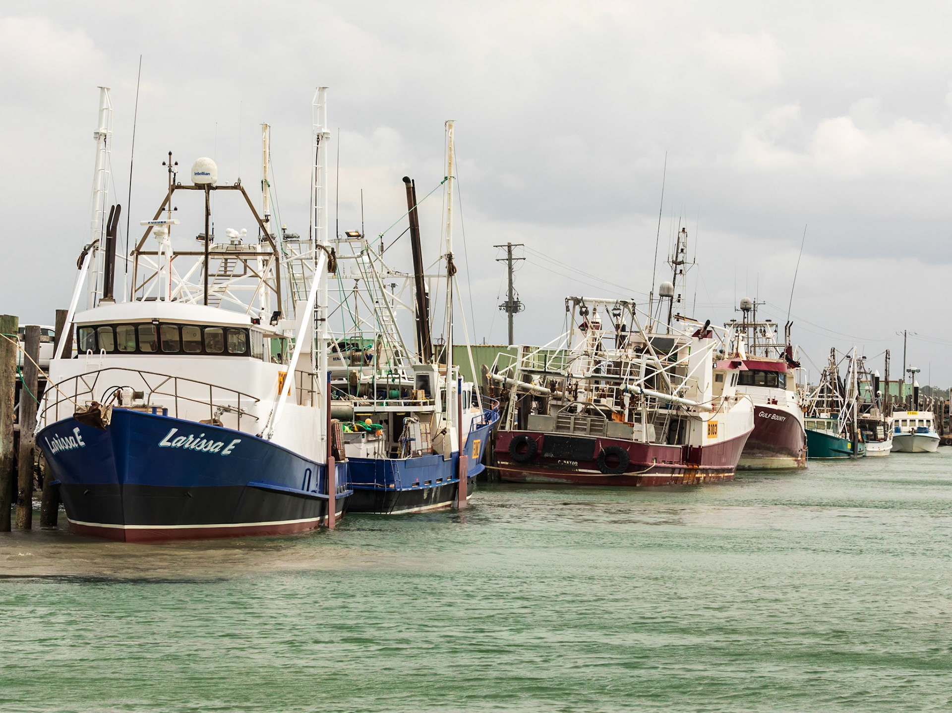Urangan Boat Harbour: fishing trawlers