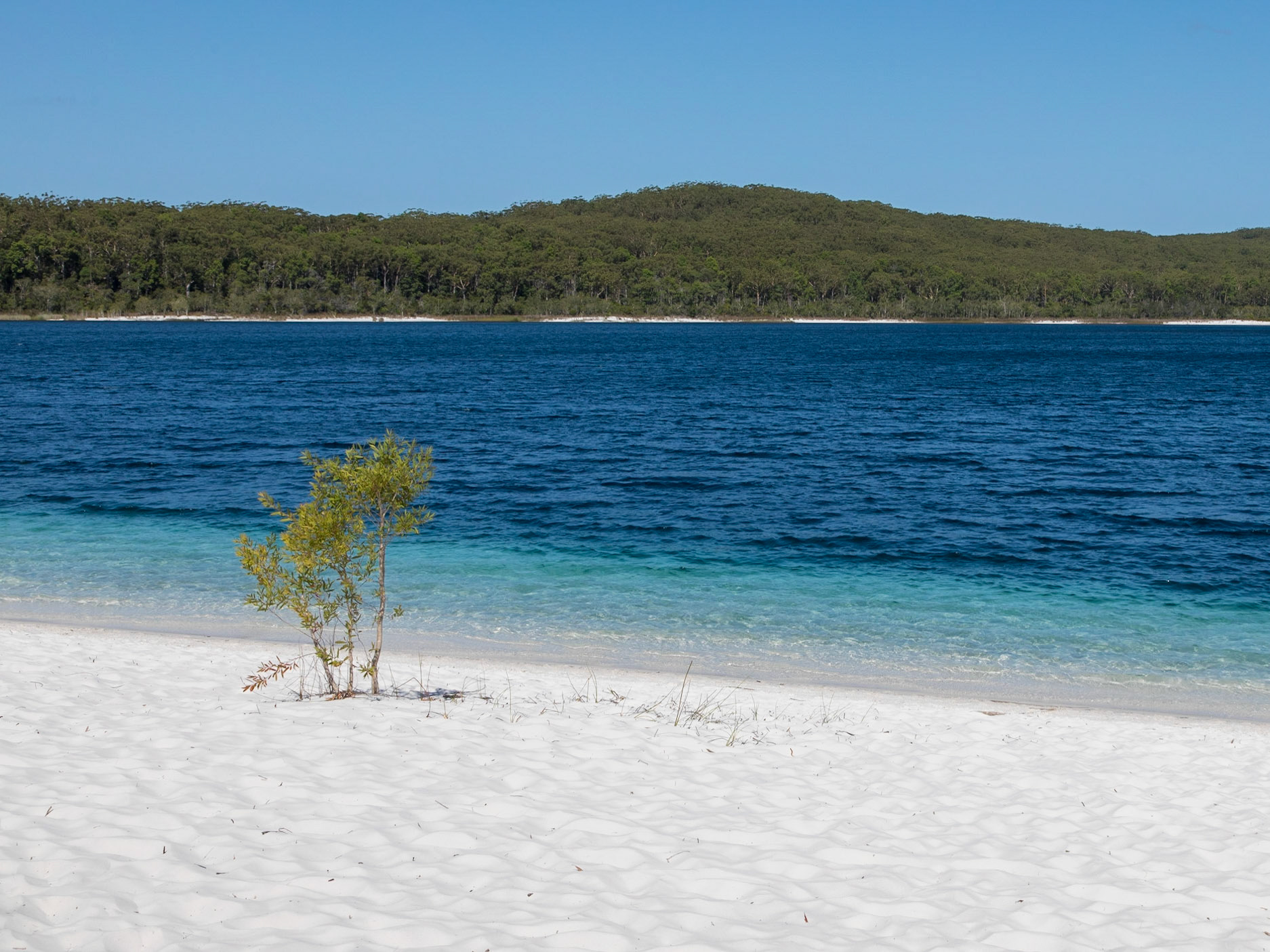 Lake McKenzie (Boorangoora)