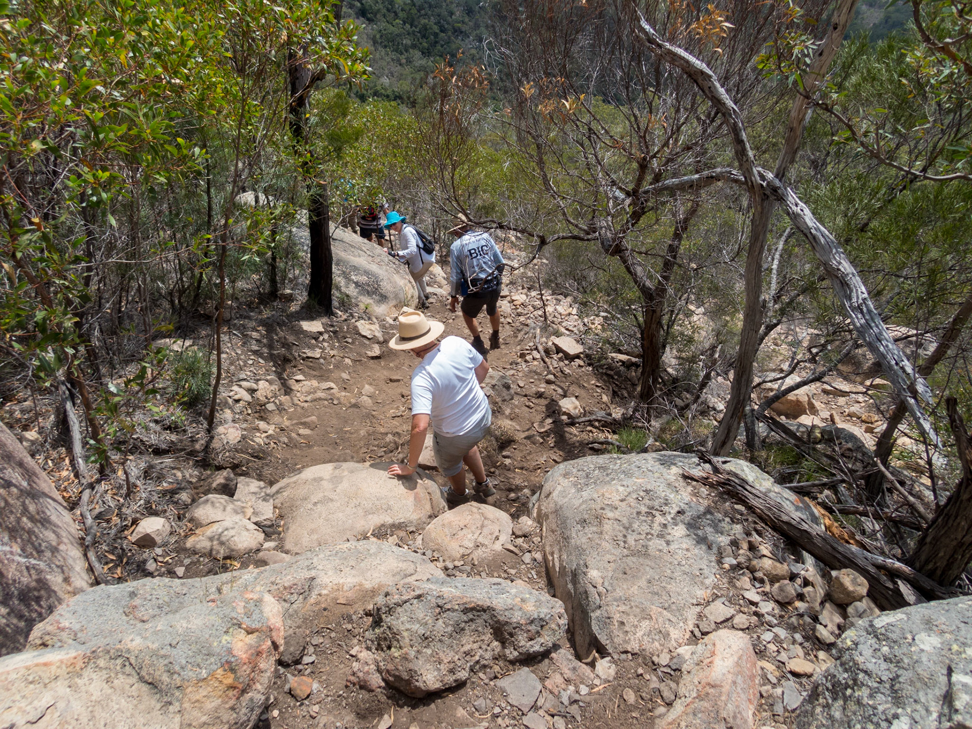 On the descent down from the summit of Mount Walsh