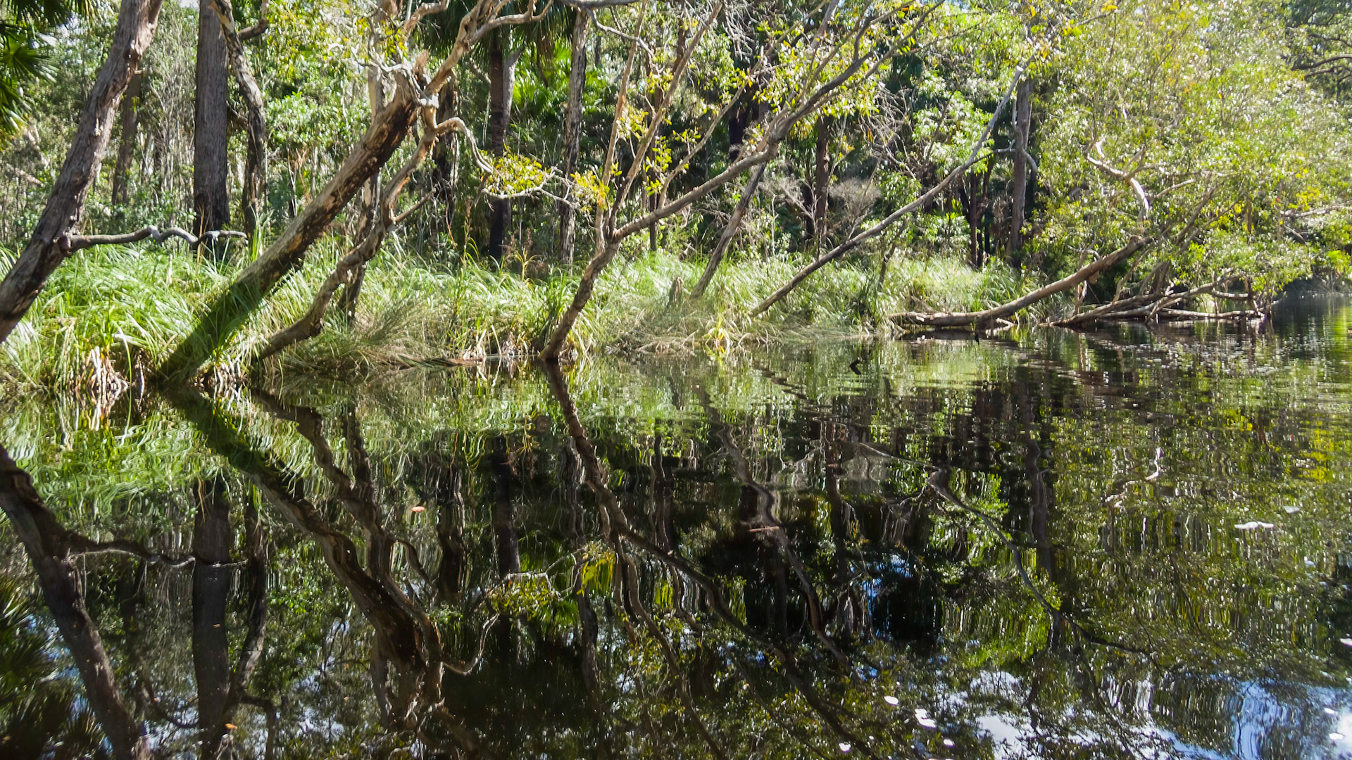 Passing through the Noosa Everglades