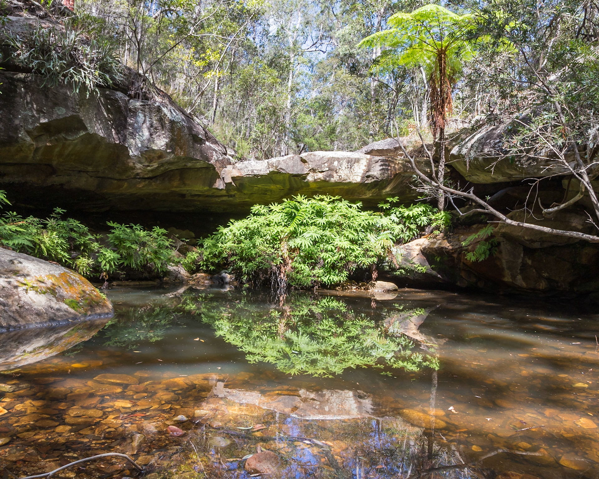 At Fern Tree Pool