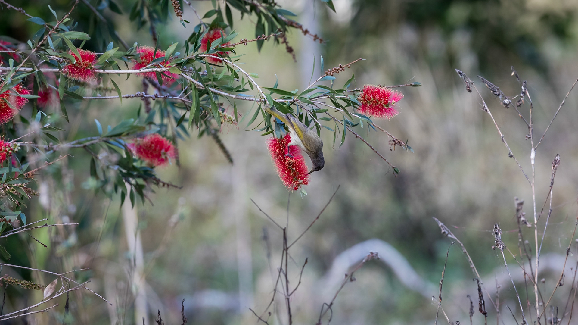 Baldwin Swamp Environment Park
