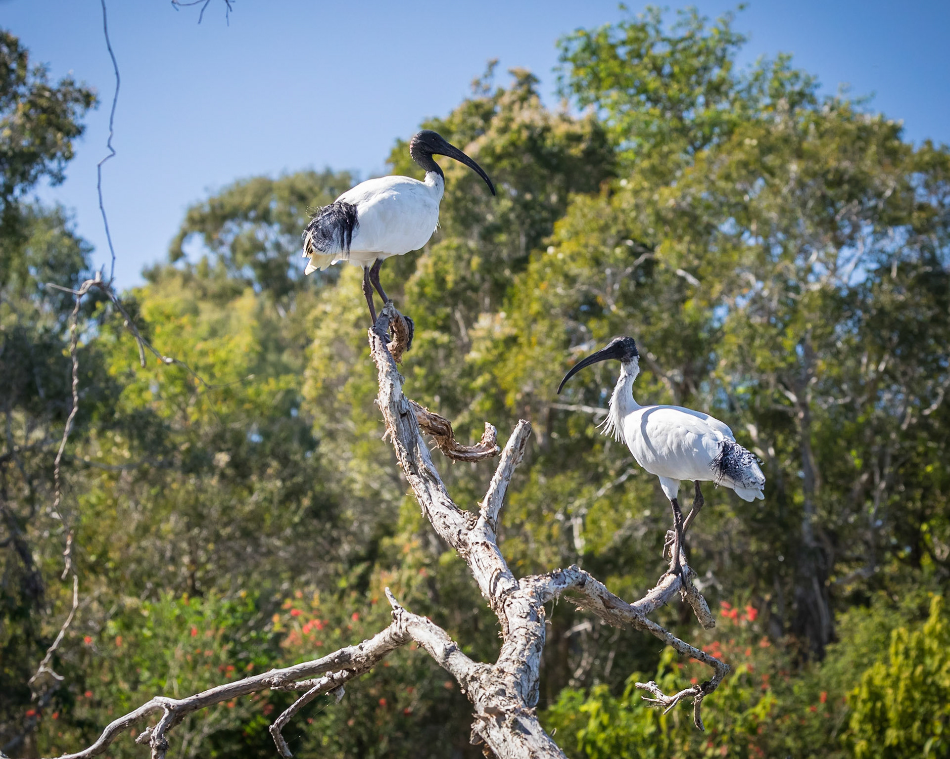 Baldwin Swamp Environment Park