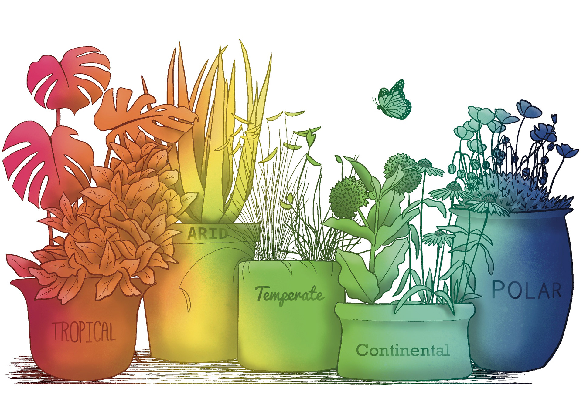 Northern Gardener Magazine - Spring 2025