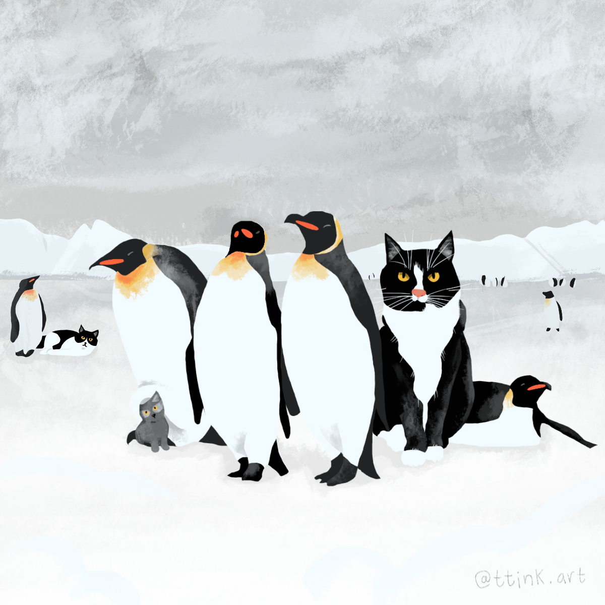 Cats in Antarctica