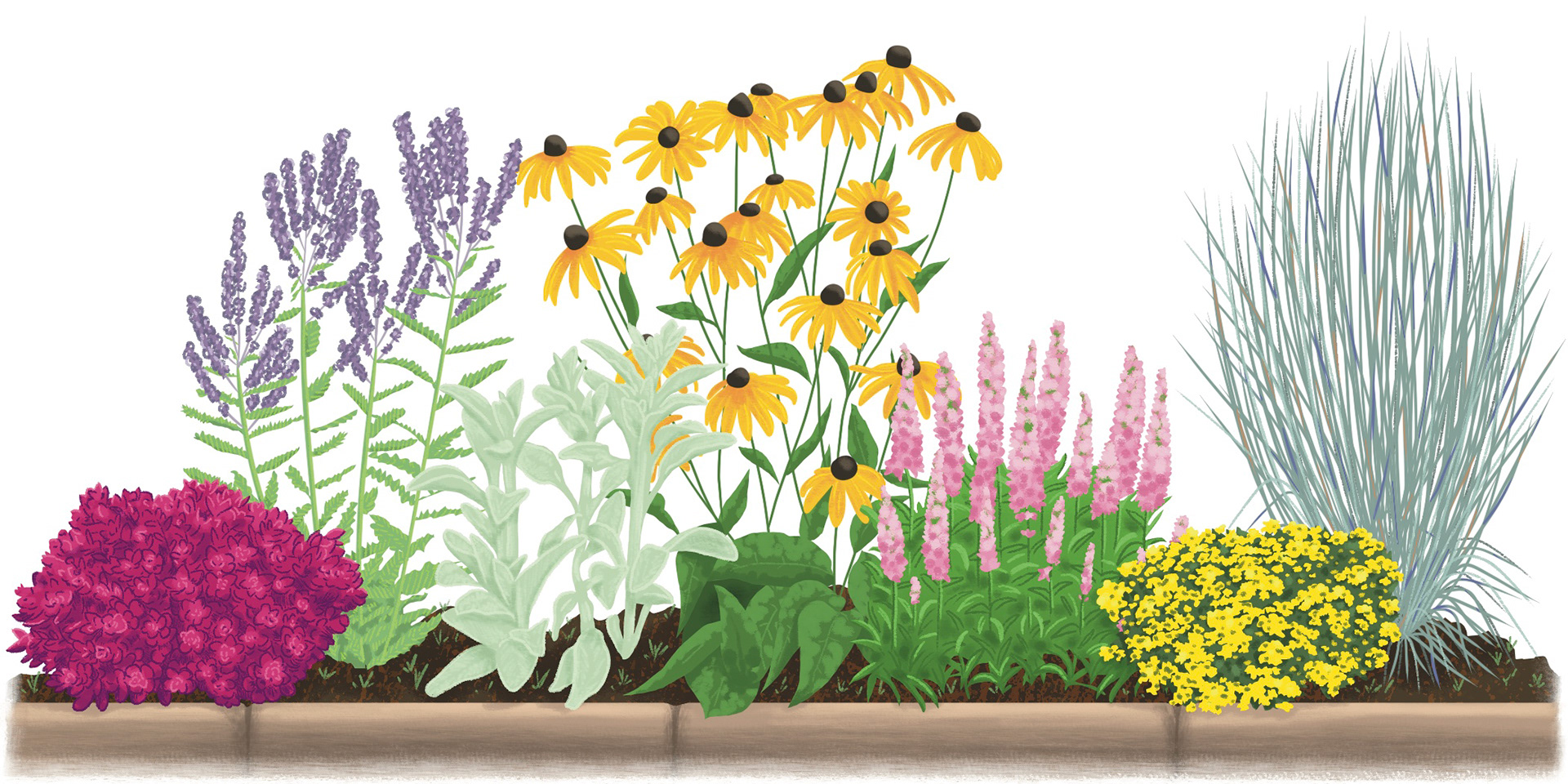 Northern Gardener Summer 2026, Garden Plan plant detail 
