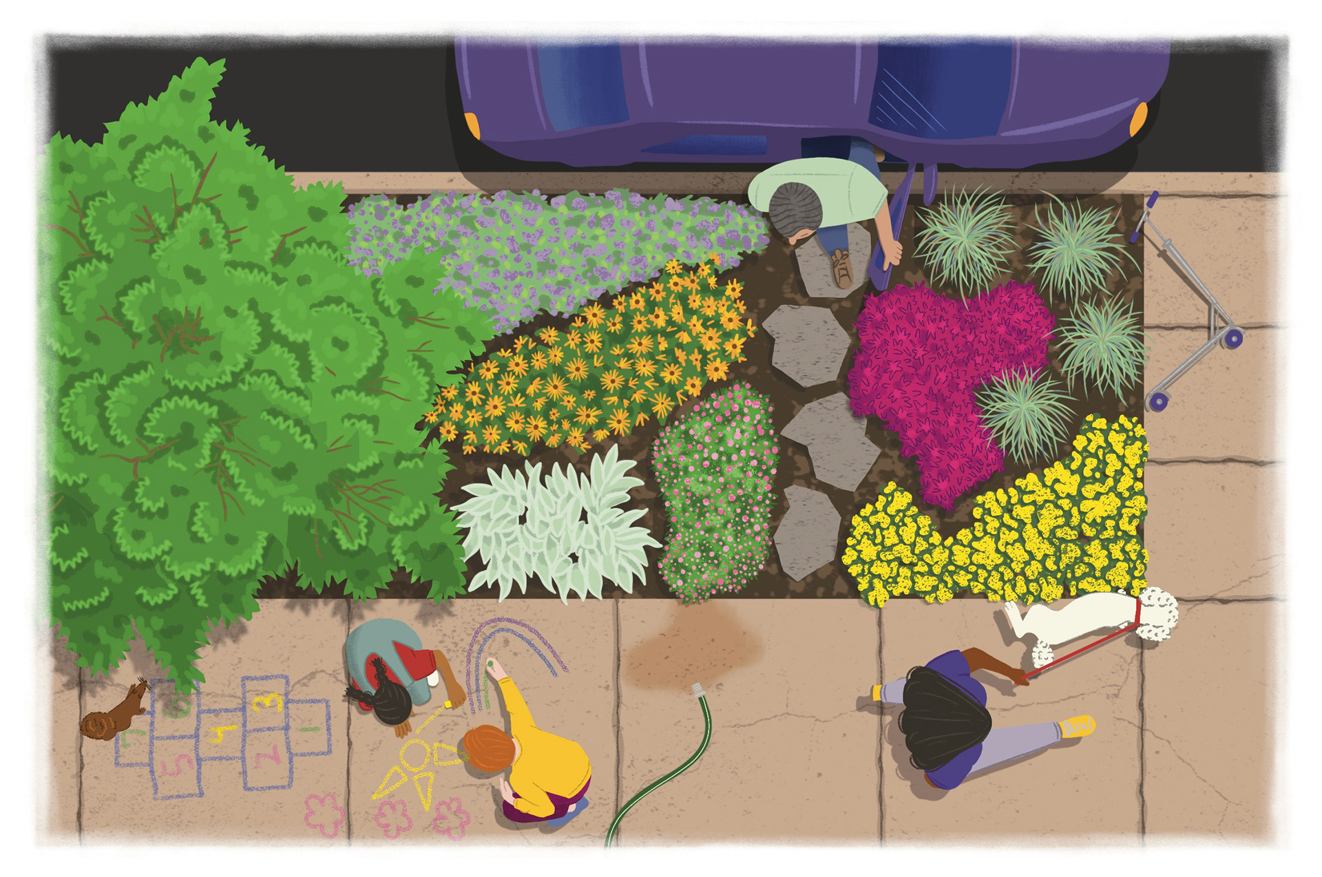 Northern Gardener Summer 2026, Garden Plan for a Boulevard