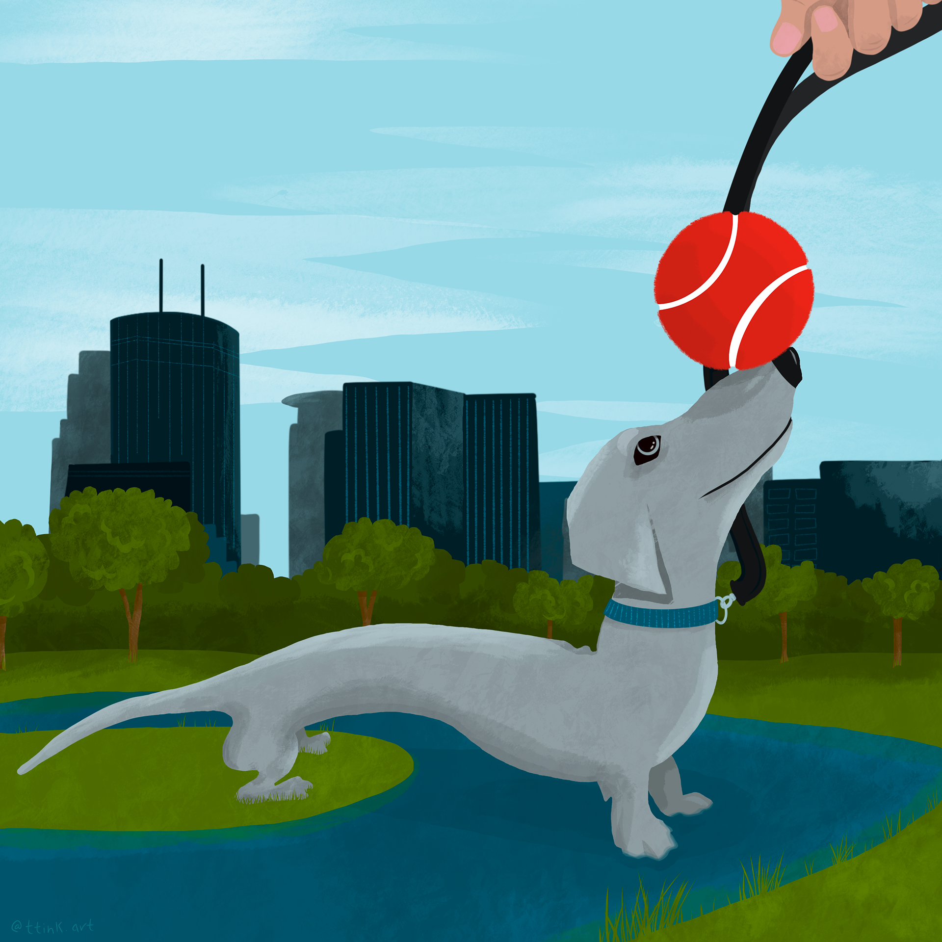 Cherry and the Spoon dog