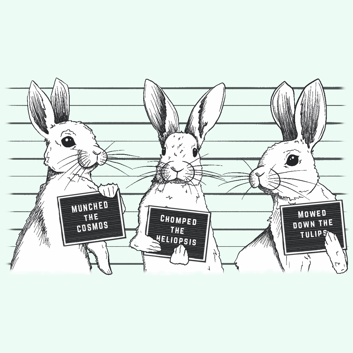 Northern Gardener Summer 2026, "Battling Bad Bunnies"