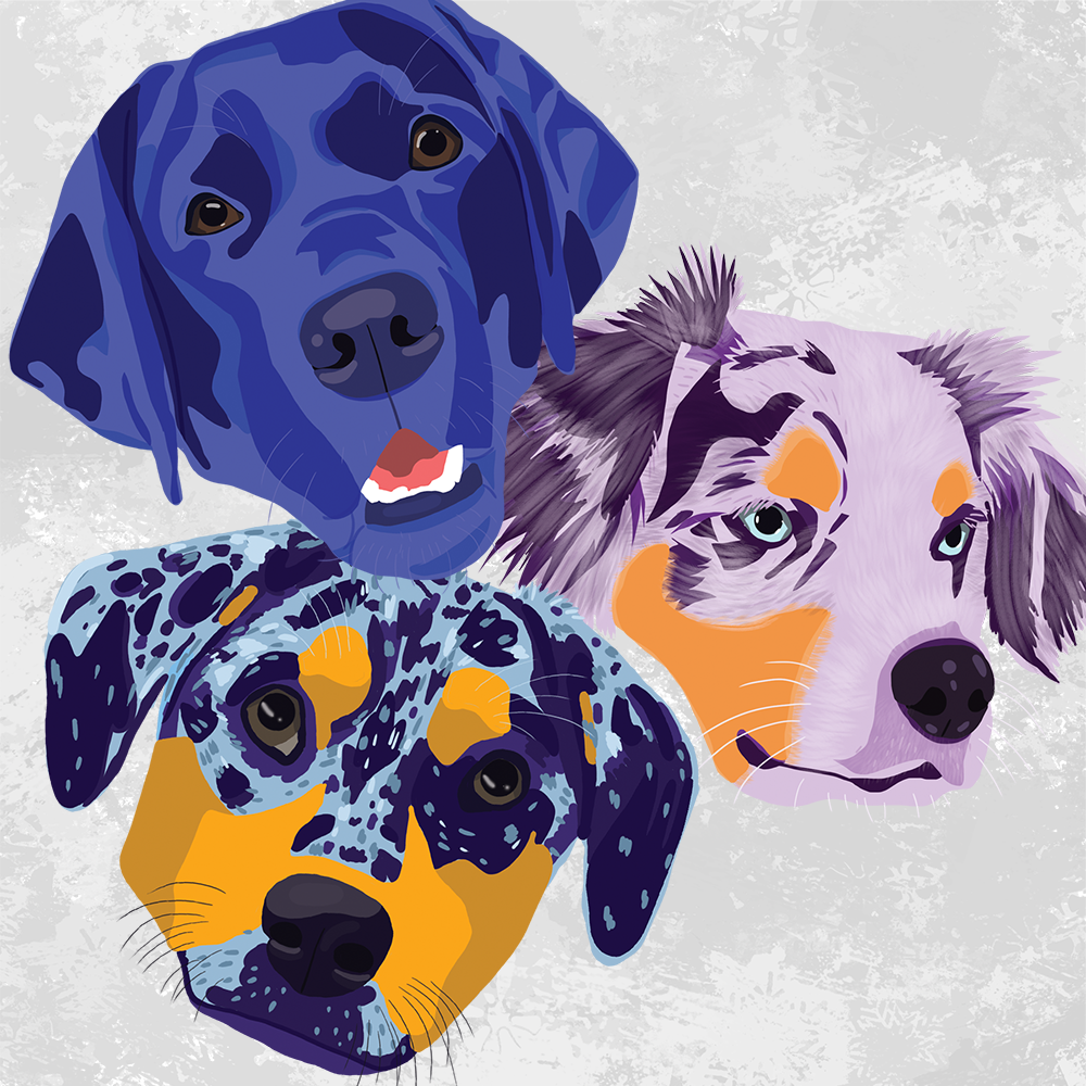 Pet head stickers