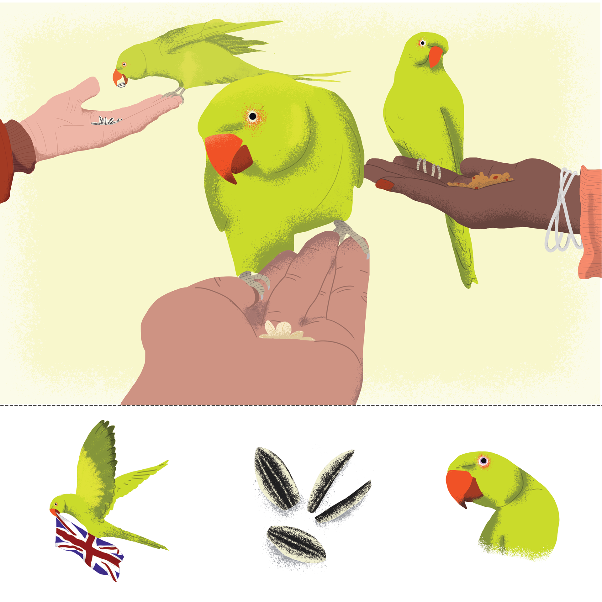 The parakeets of London